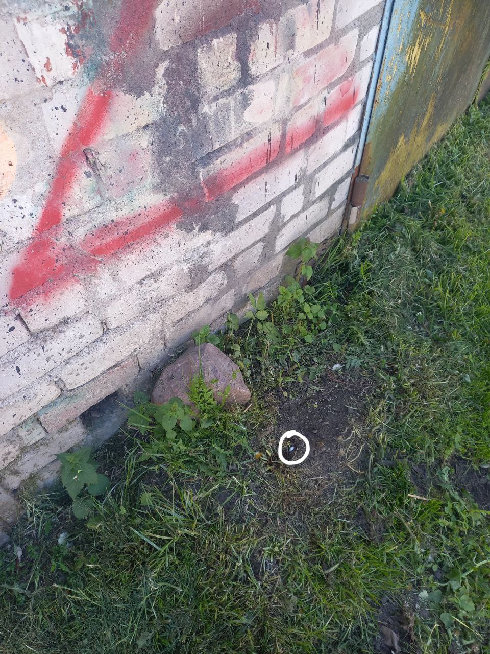 IMG 20250511 164642 619.jpg