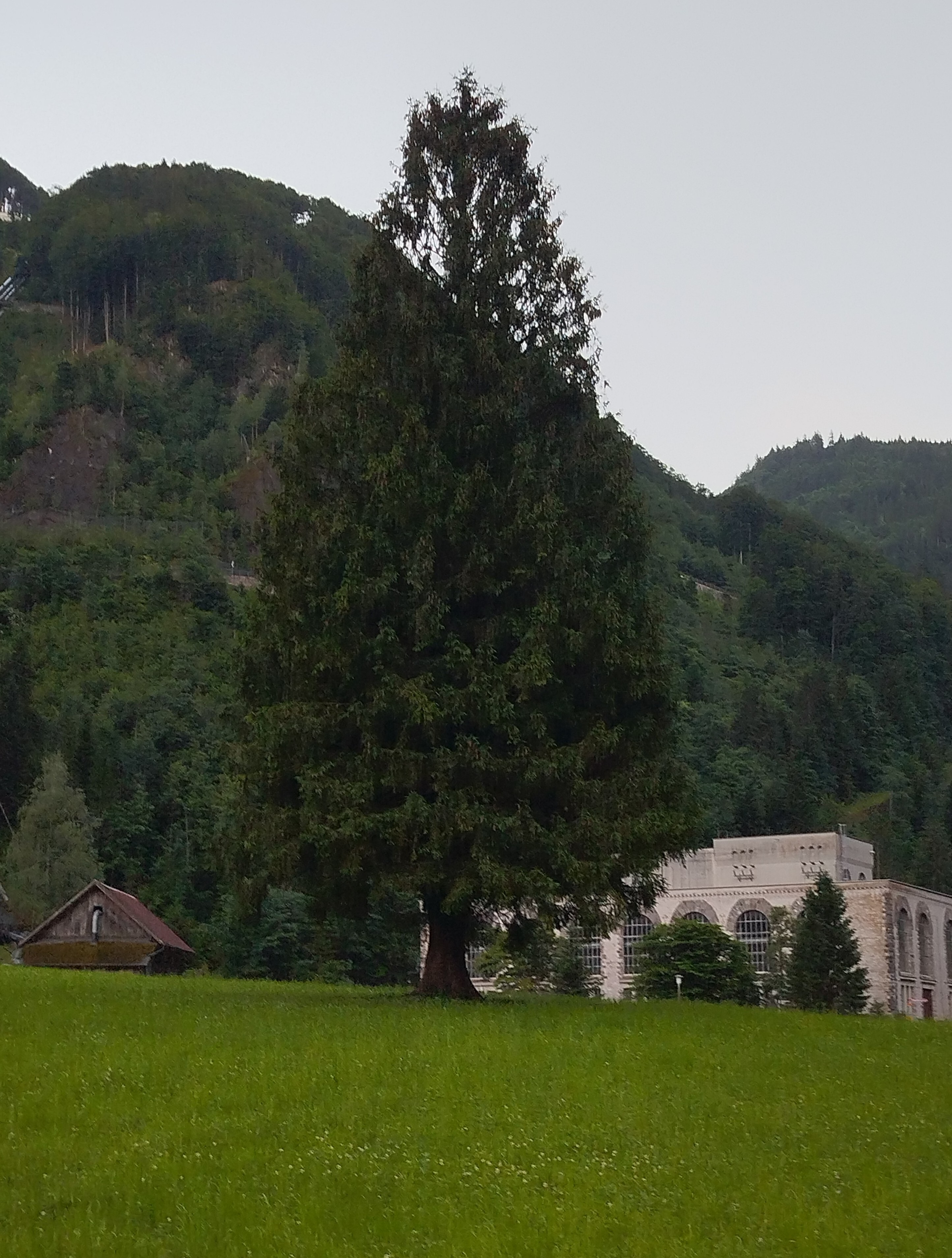 Stans - Engelberg