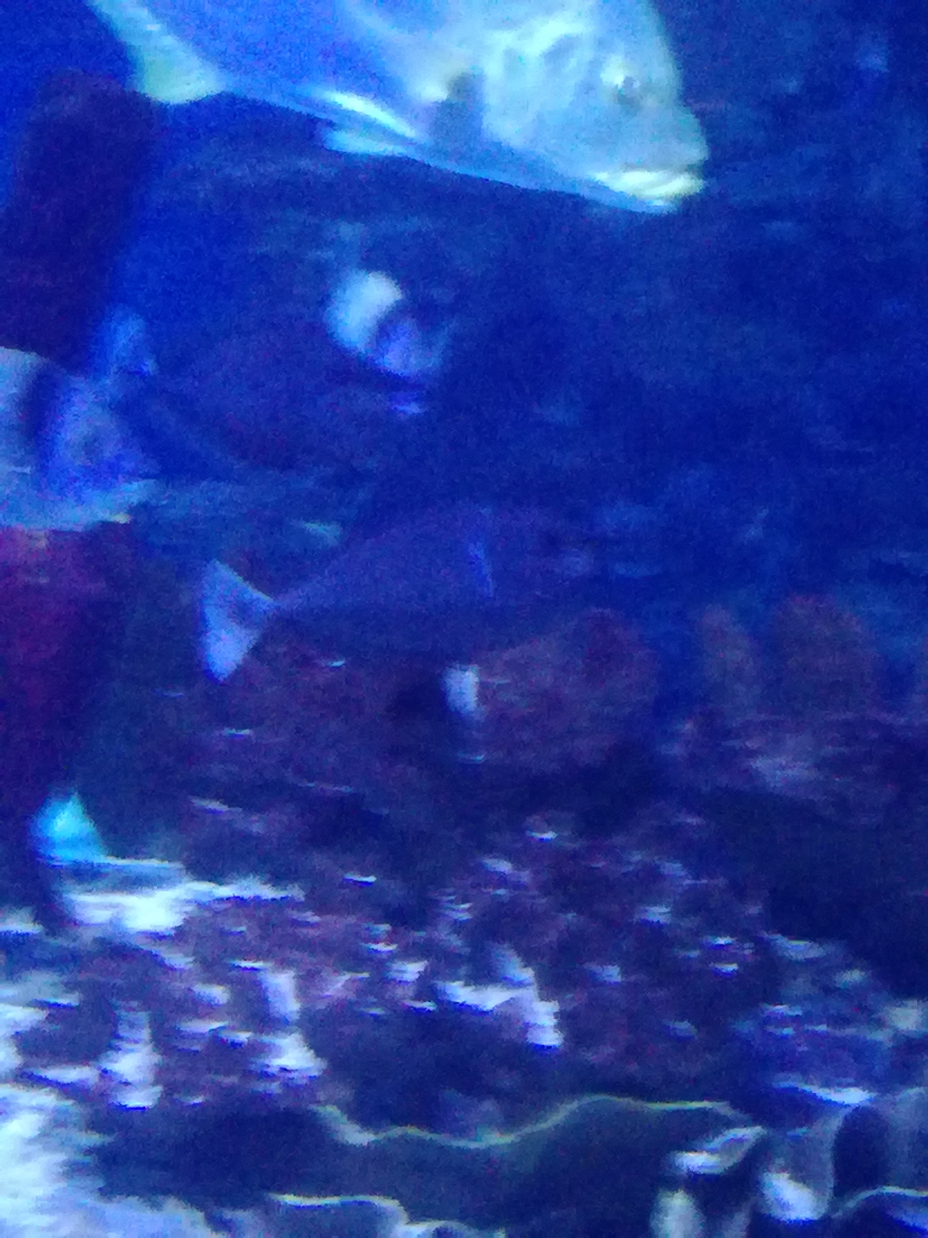 IMG 20220530 103057.jpg
