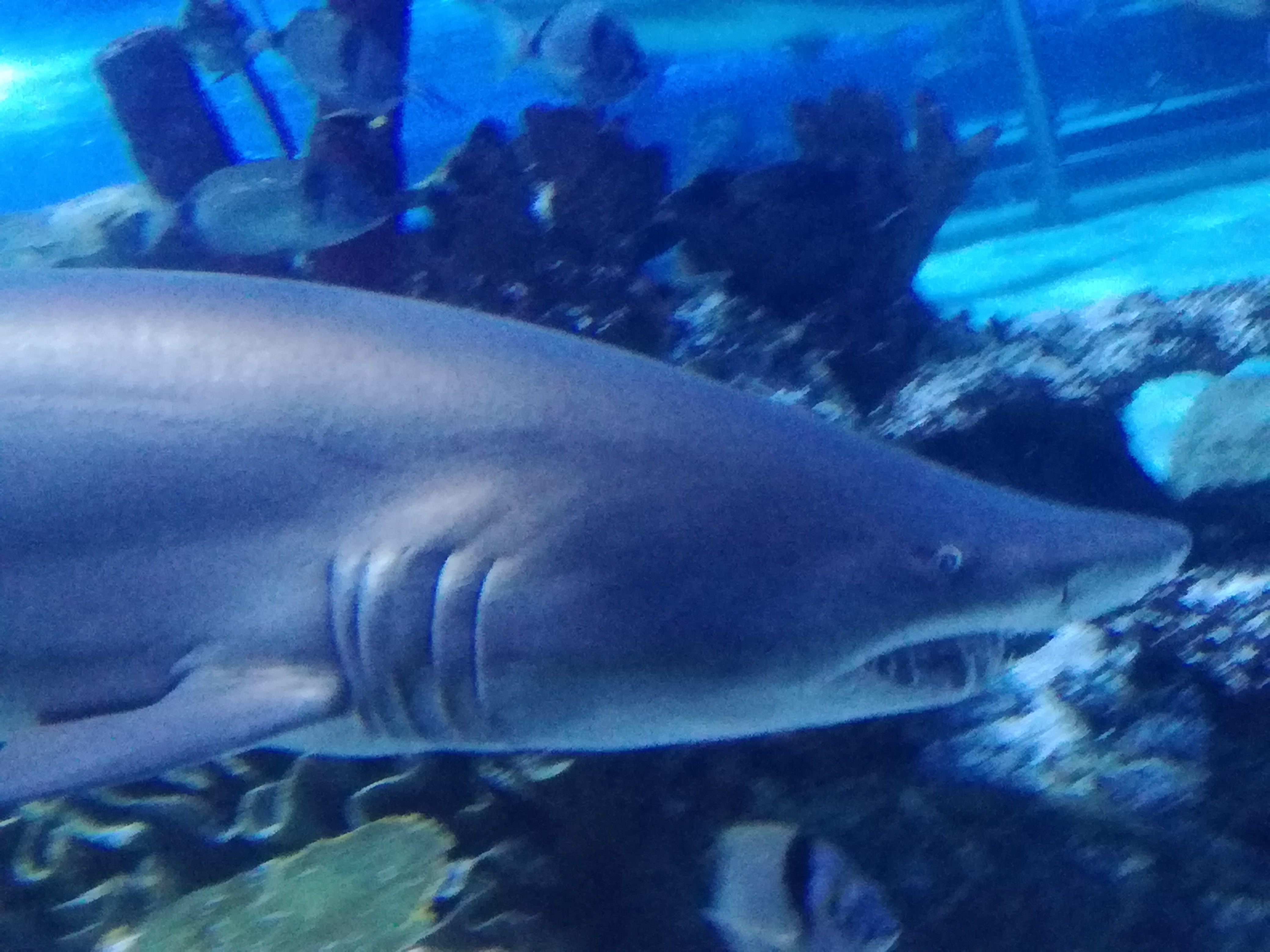 IMG 20220530 103057.jpg