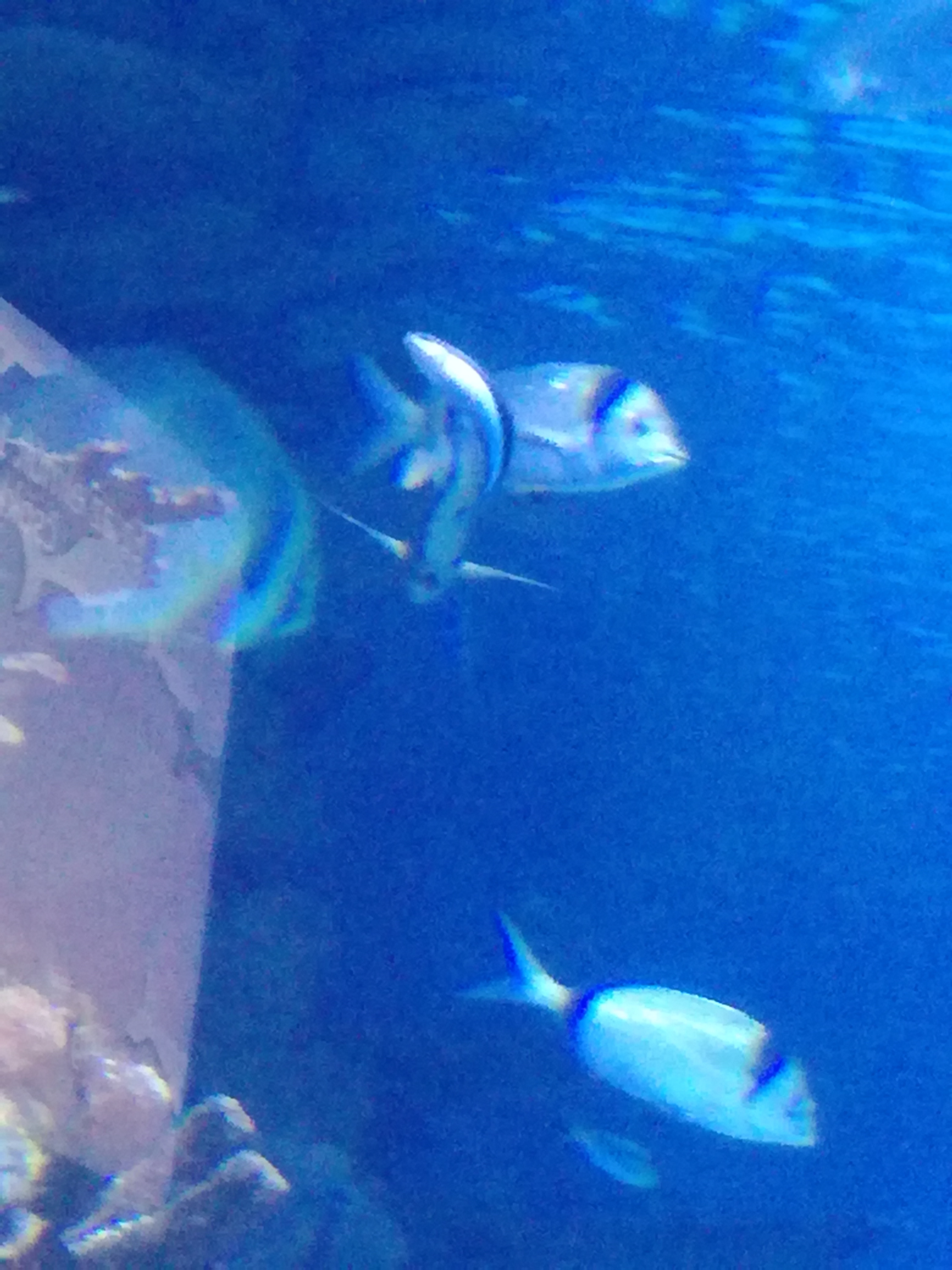 IMG 20220530 103057.jpg