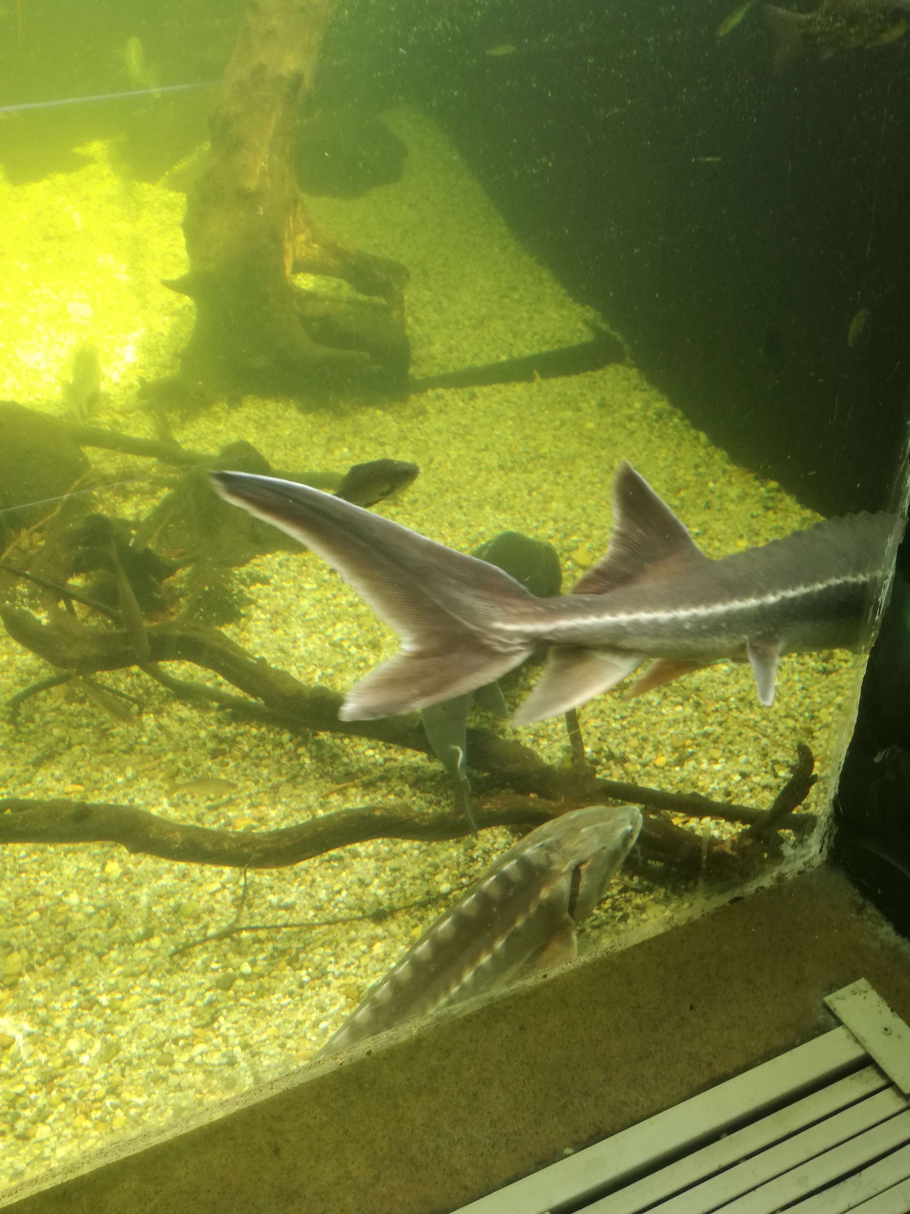 IMG 20220530 103057.jpg