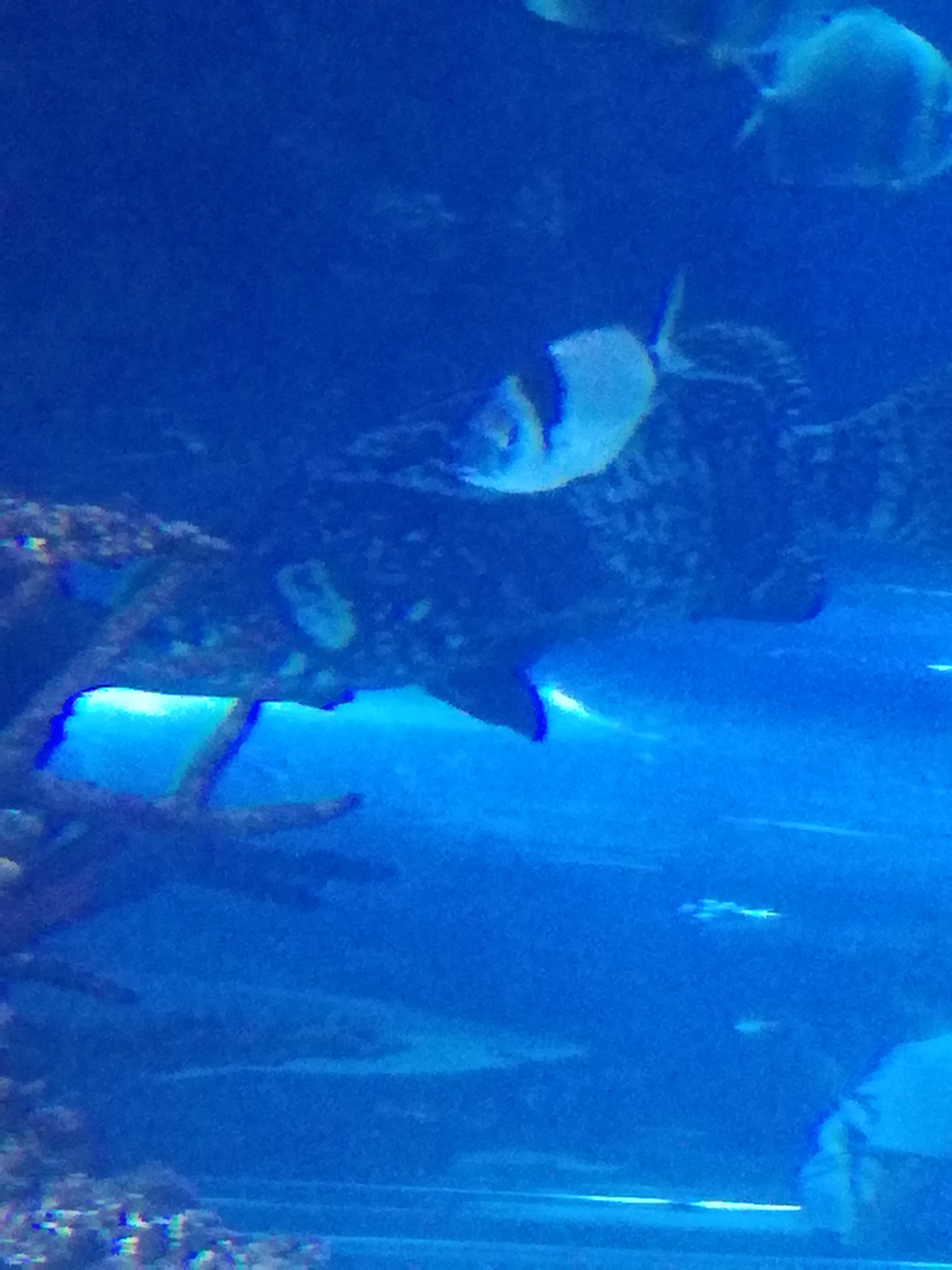 IMG 20220530 103057.jpg