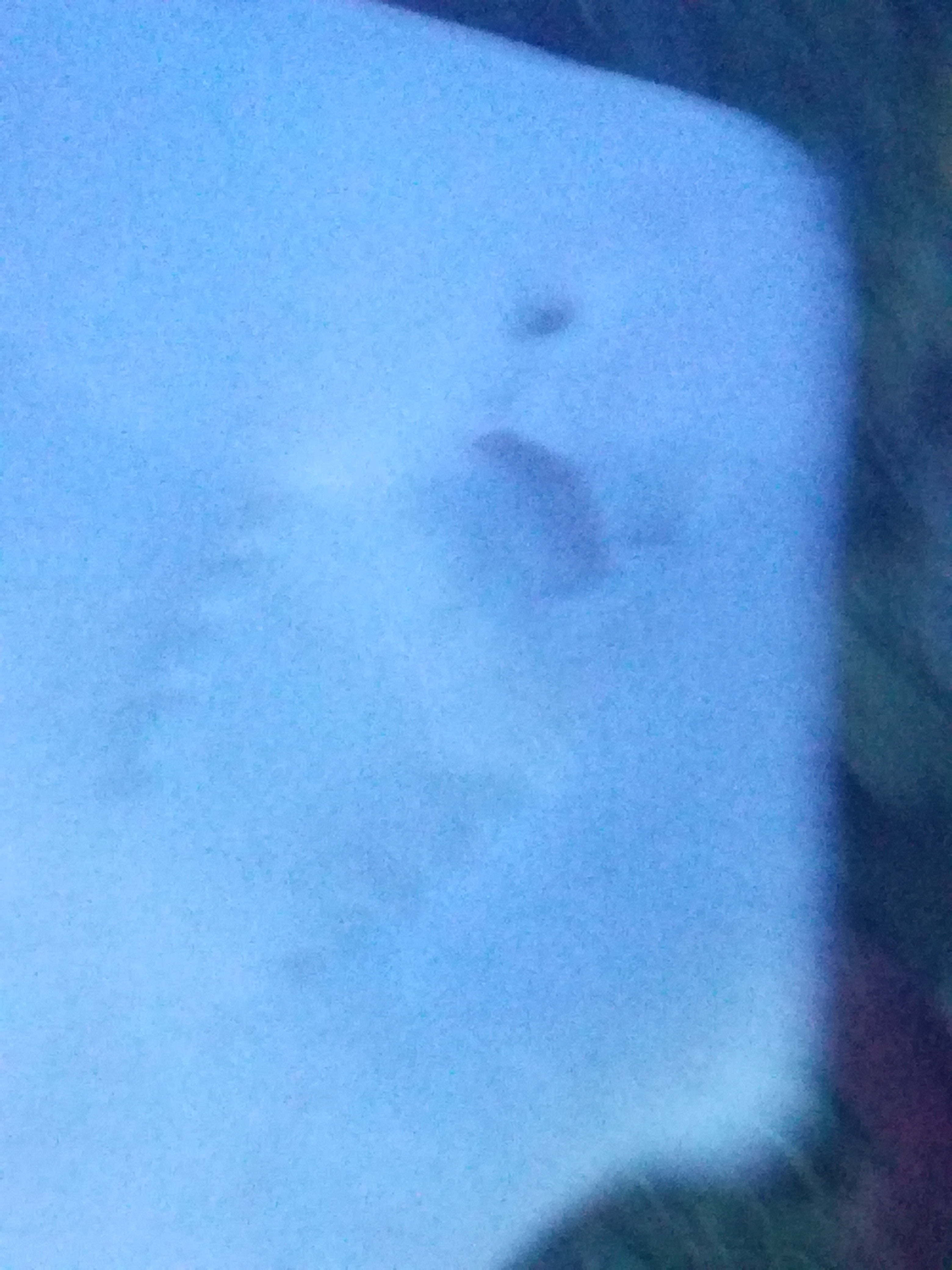 IMG 20220530 103057.jpg