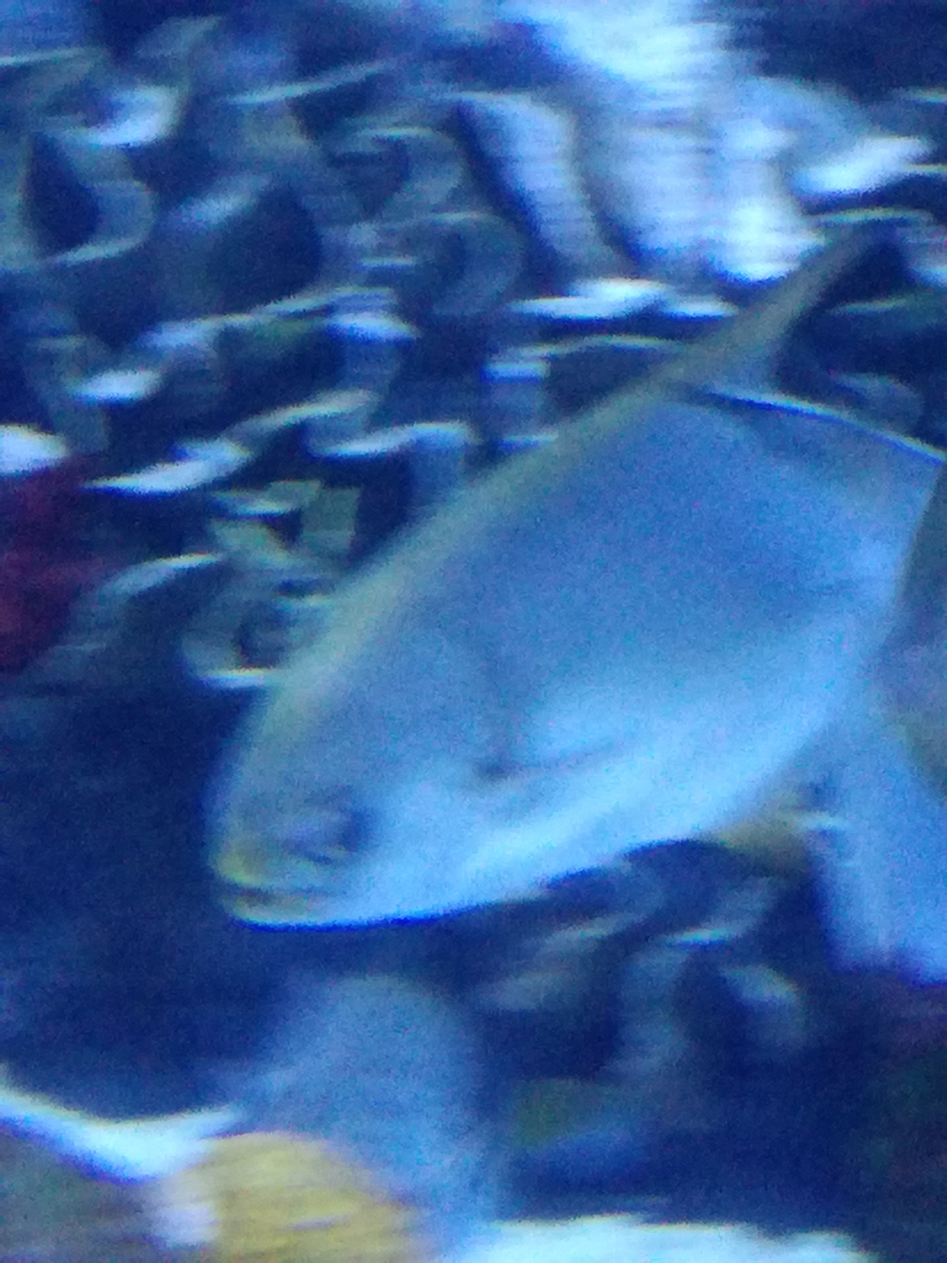 IMG 20220530 103057.jpg