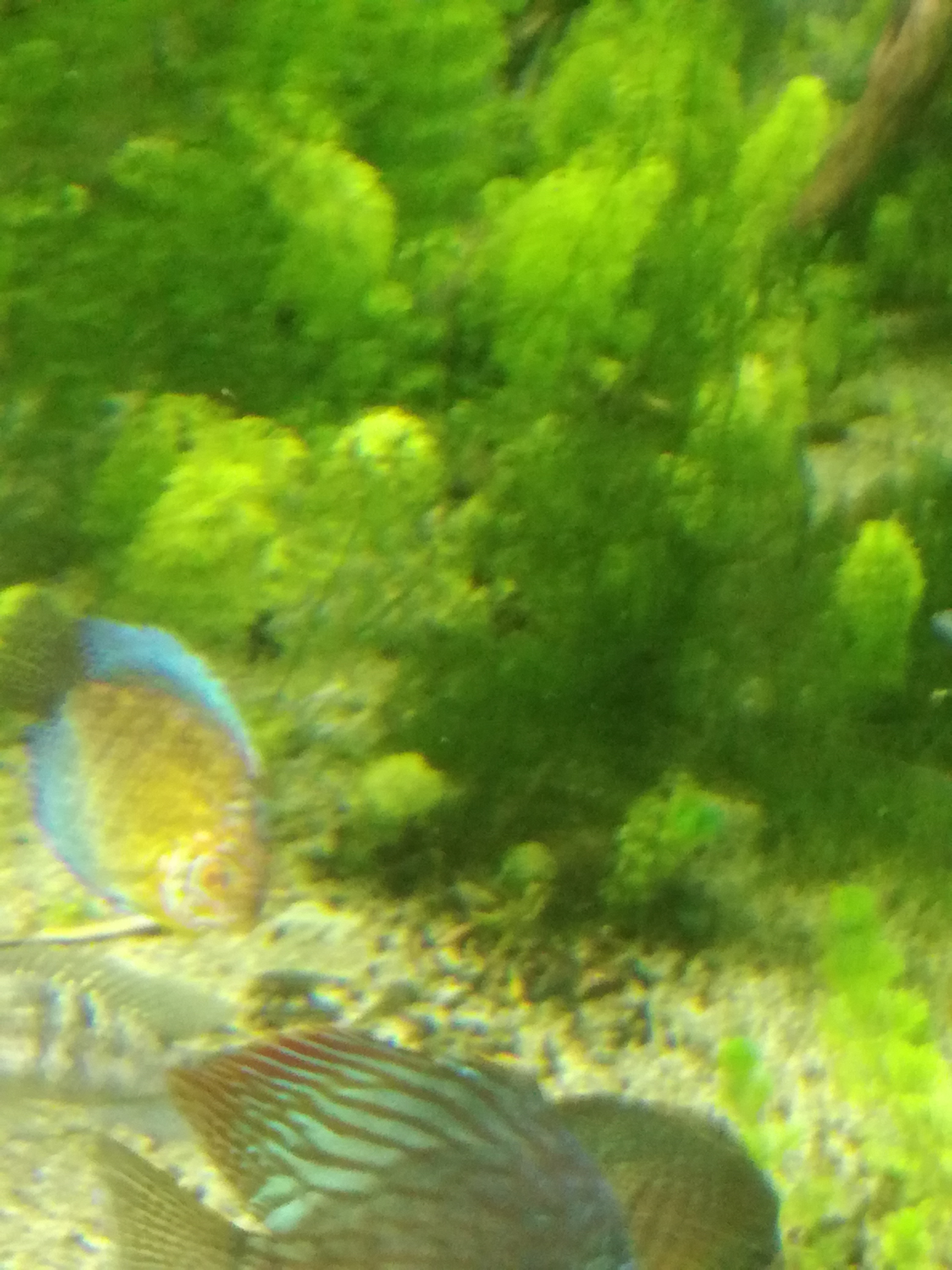 IMG 20220530 103057.jpg