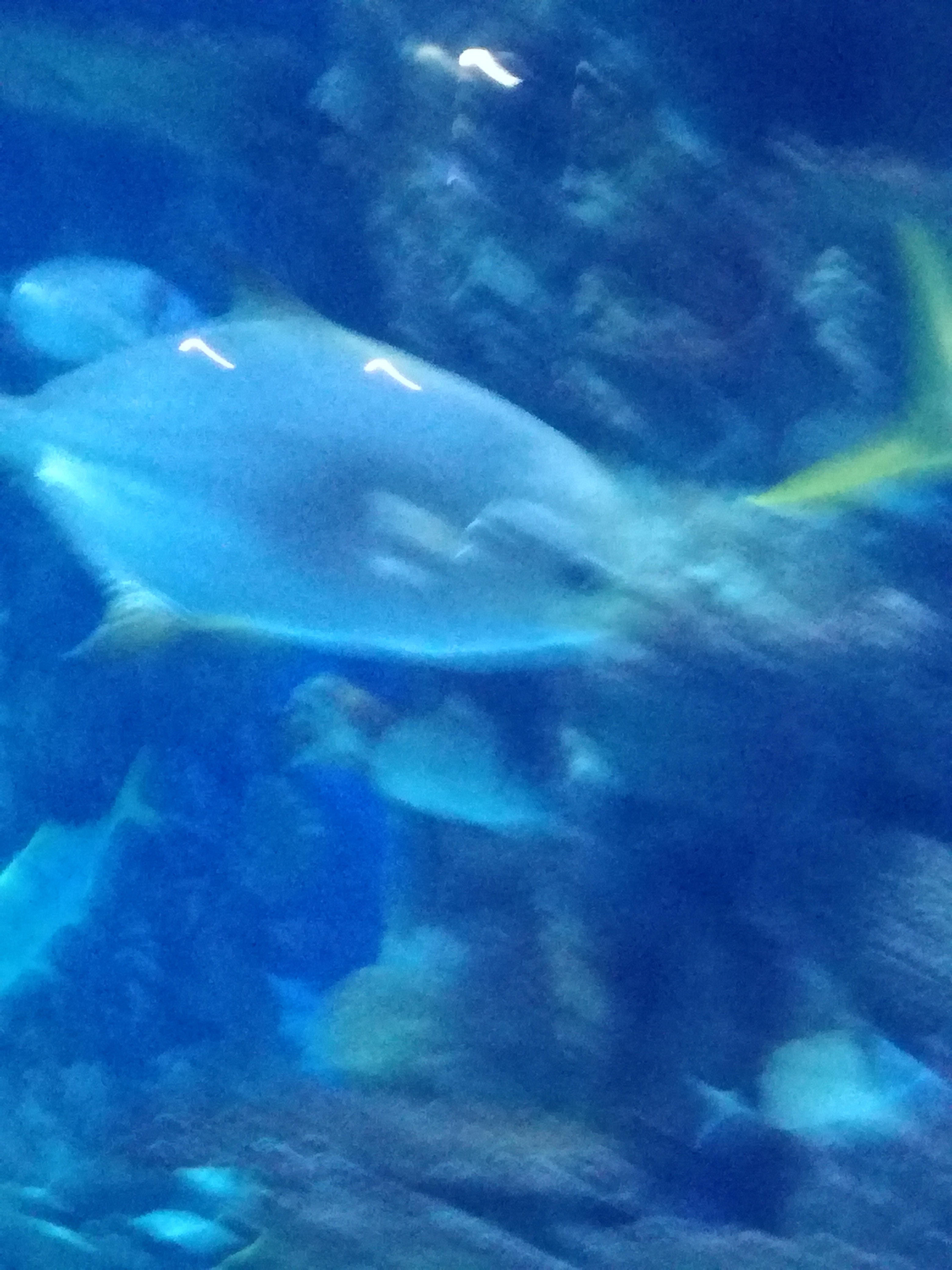 IMG 20220530 103057.jpg