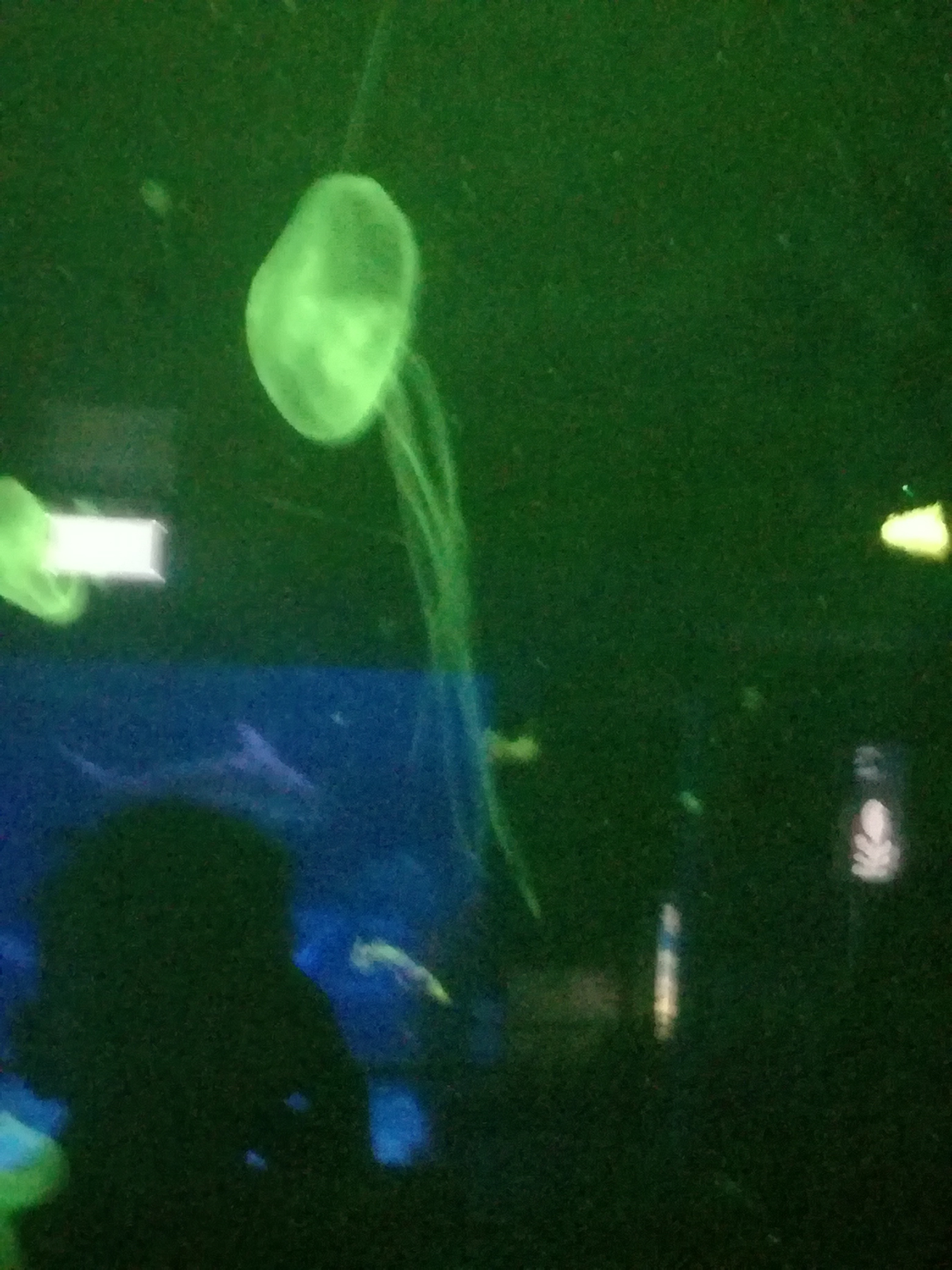 IMG 20220530 103057.jpg