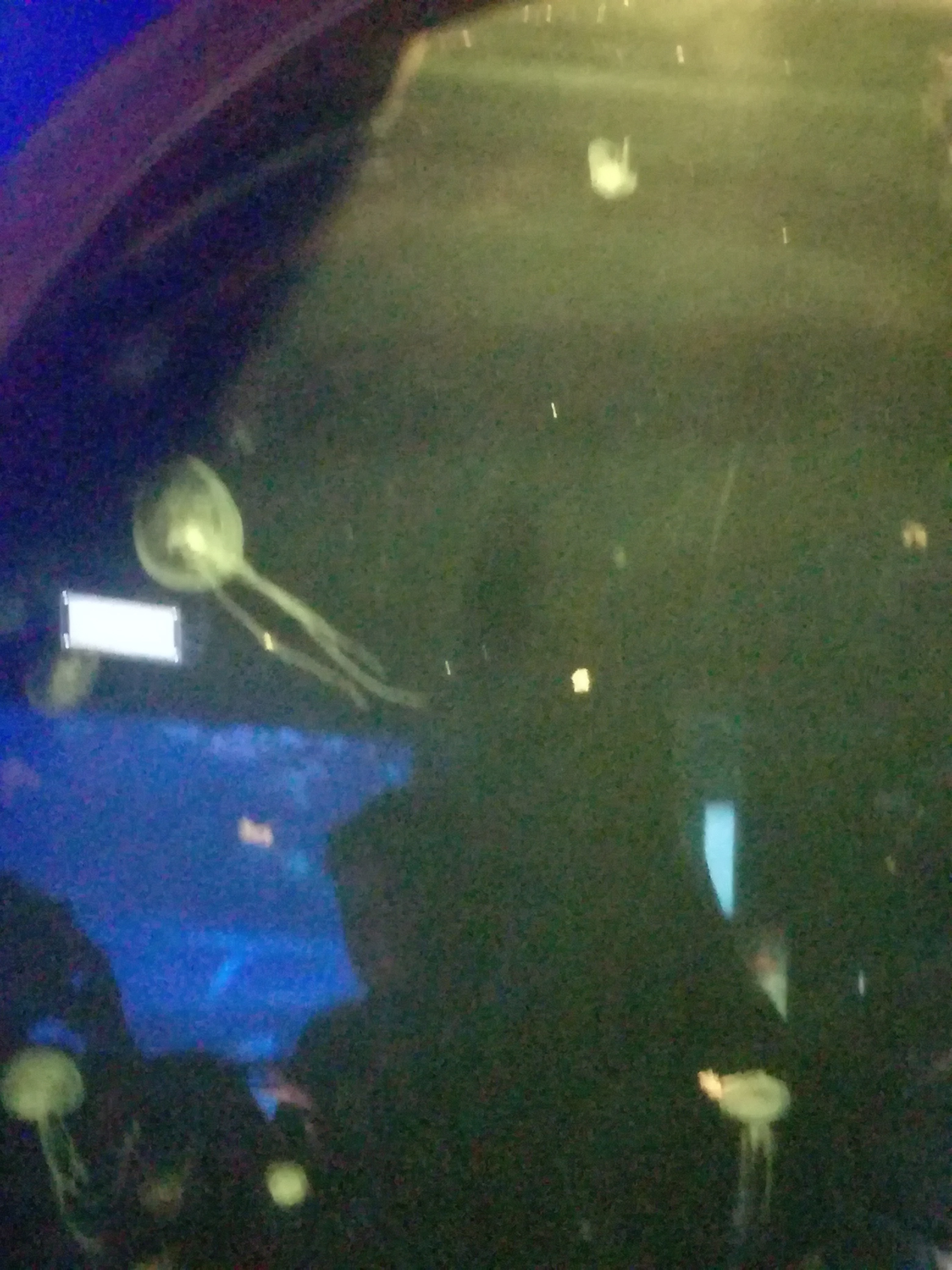 IMG 20220530 103057.jpg