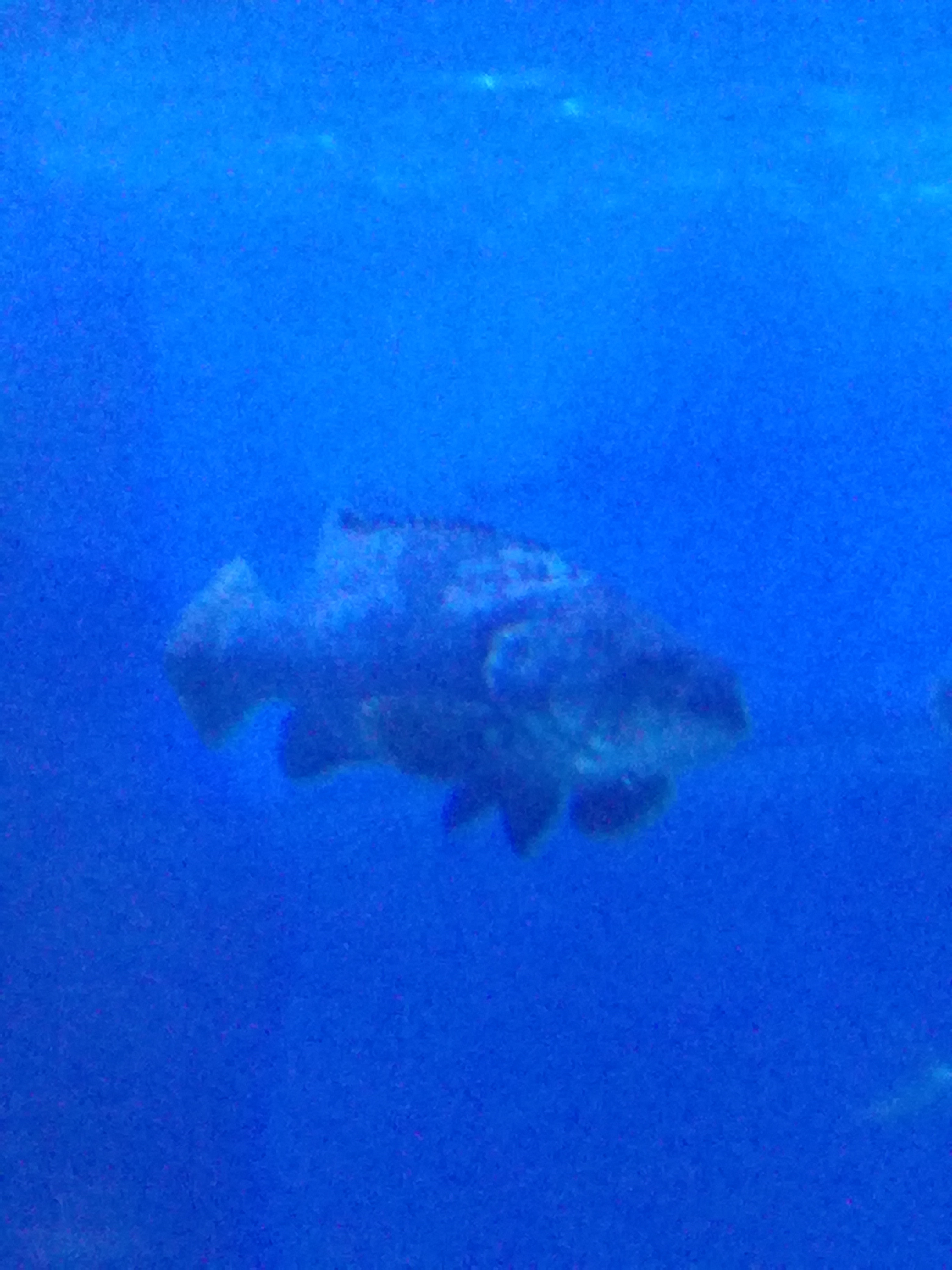 IMG 20220530 103057.jpg