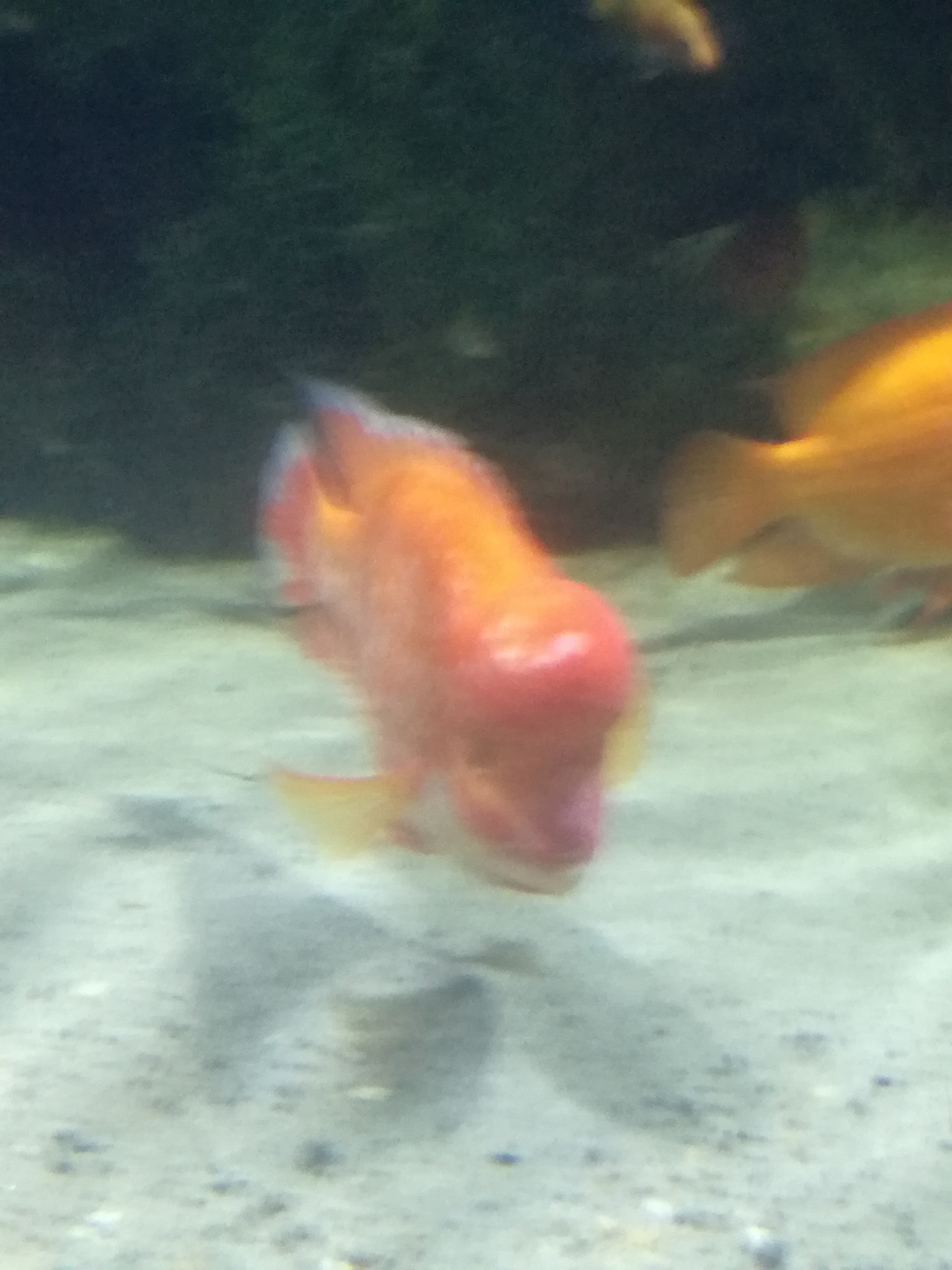IMG 20220530 103057.jpg