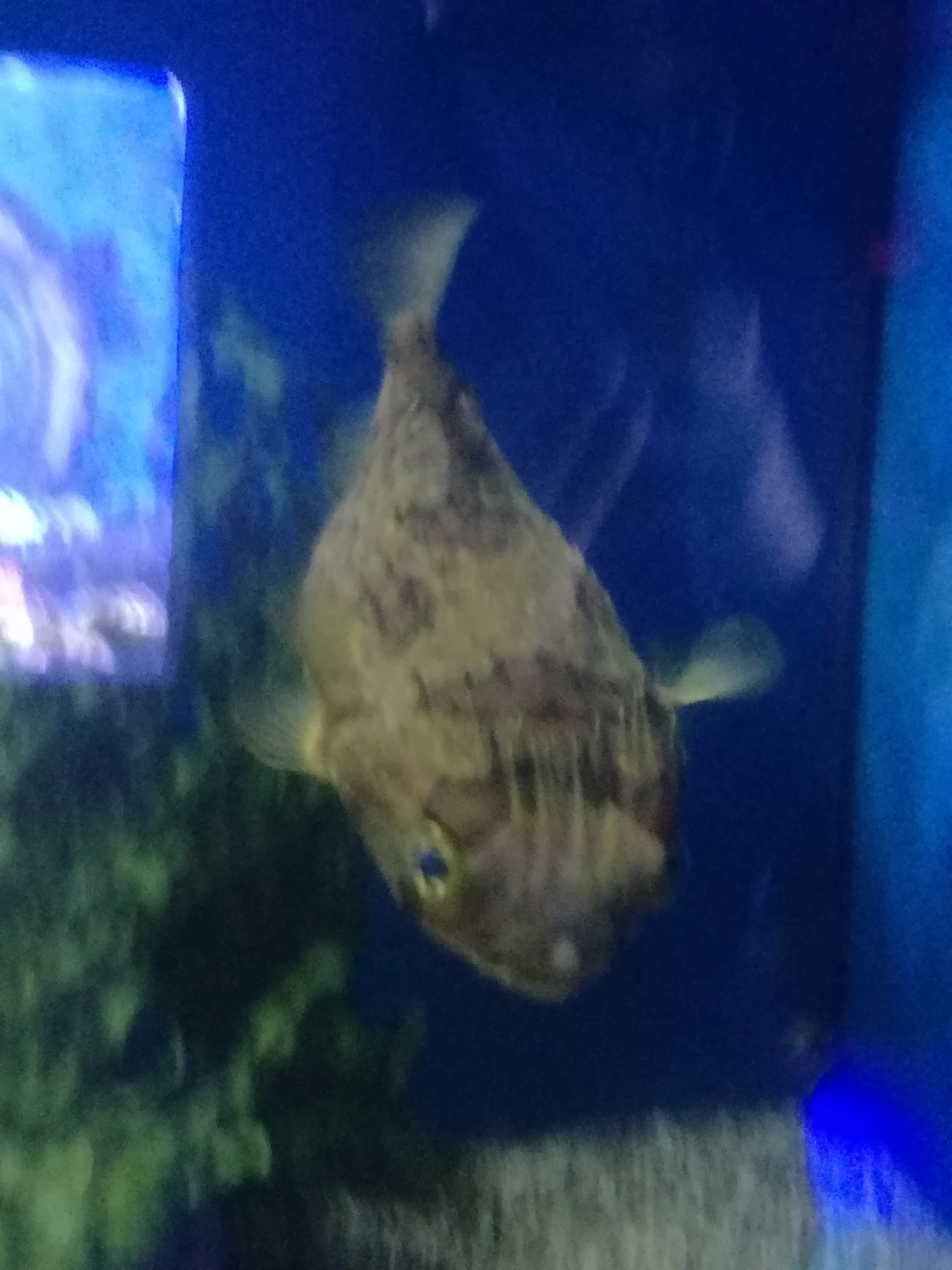 IMG 20220530 103057.jpg