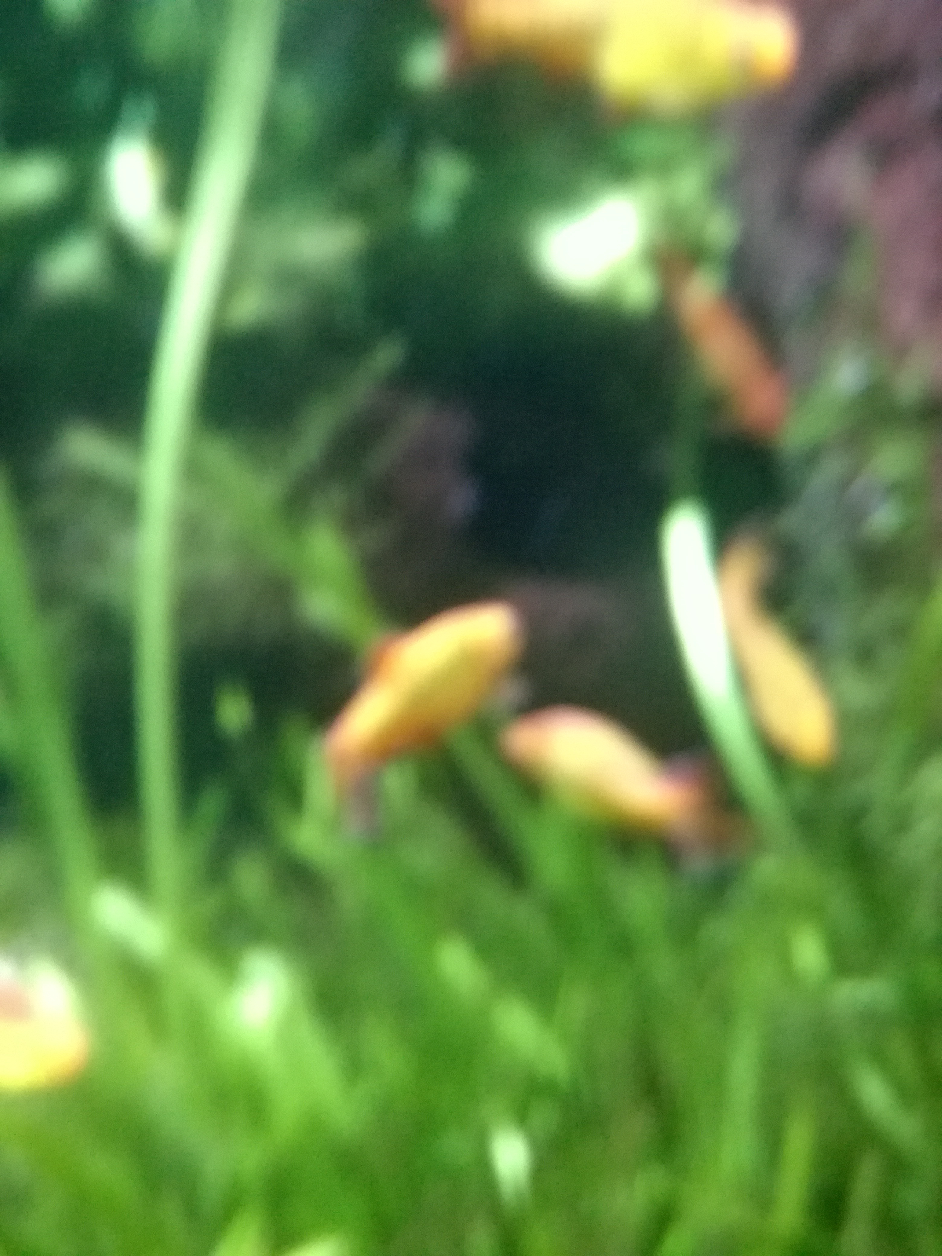 IMG 20220530 103057.jpg