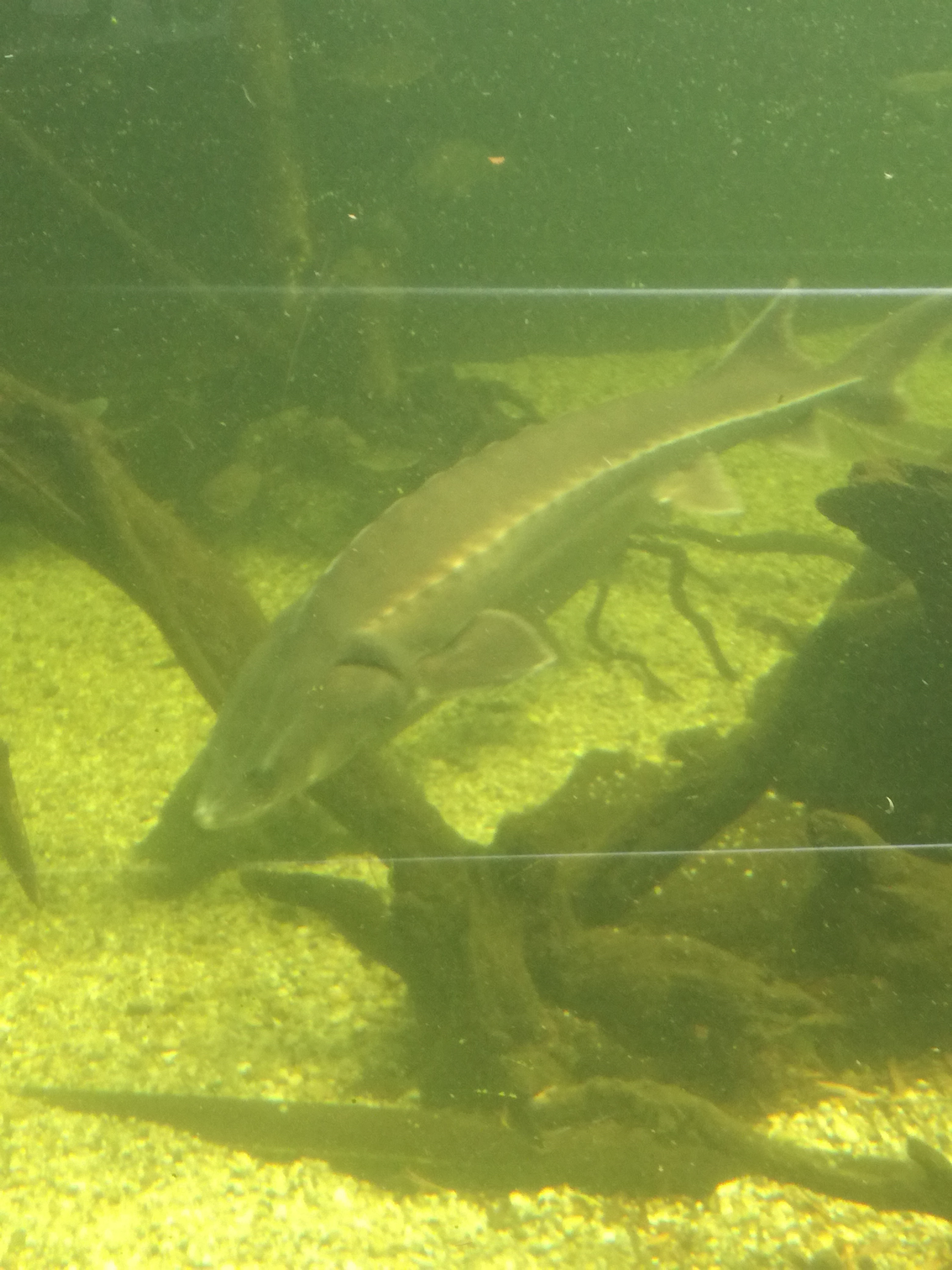 IMG 20220530 103057.jpg