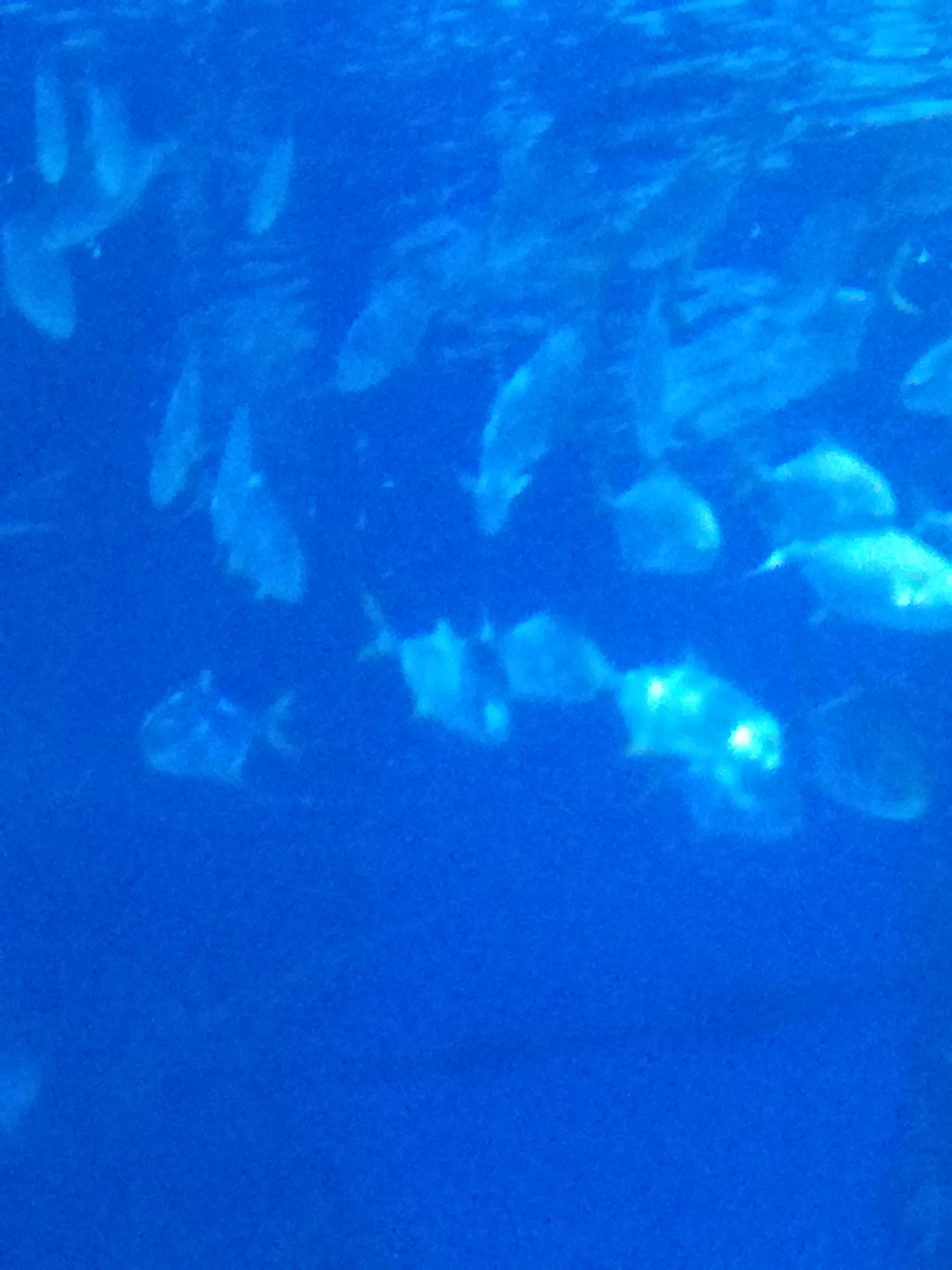 IMG 20220530 103057.jpg