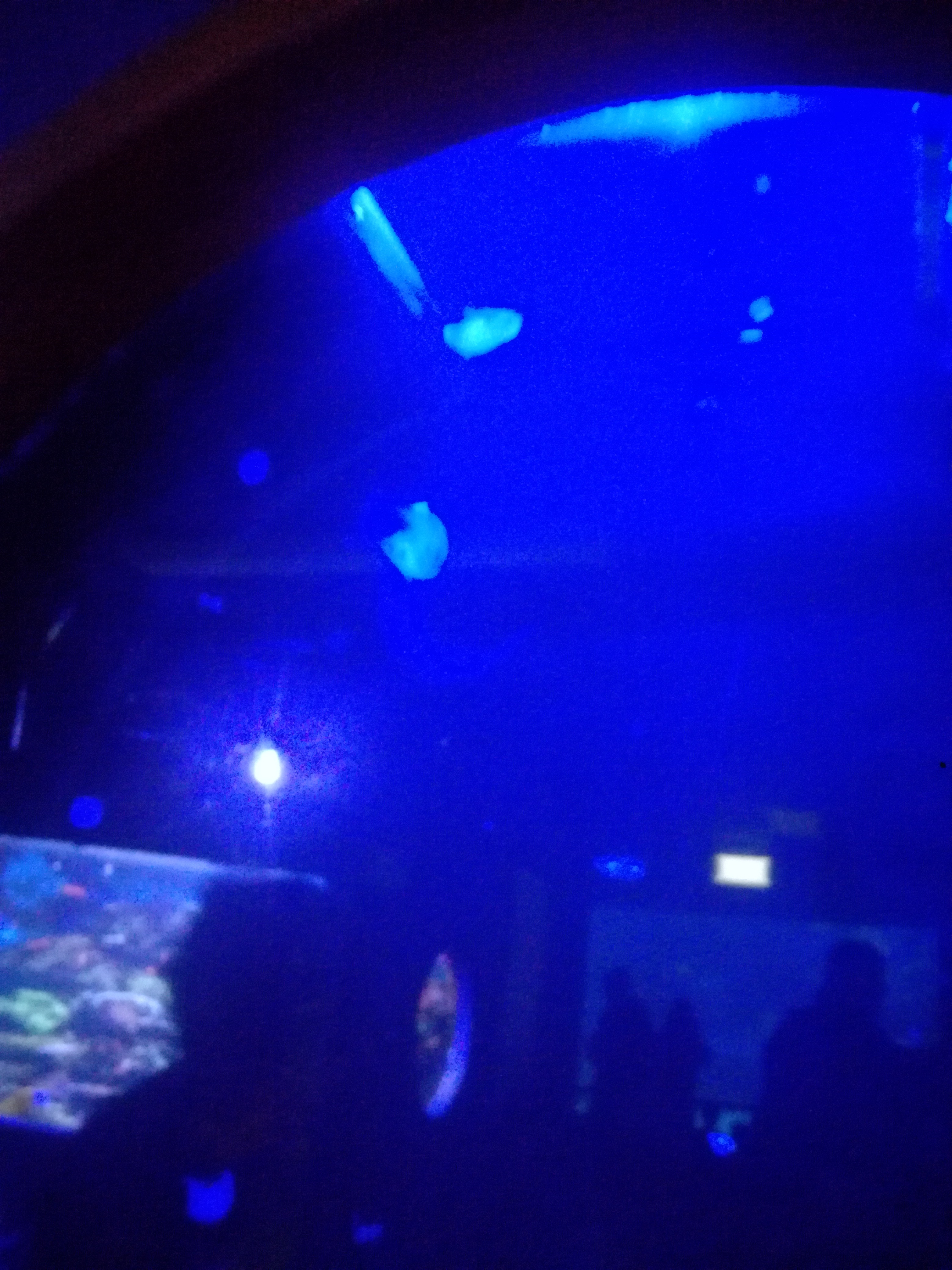 IMG 20220530 103057.jpg