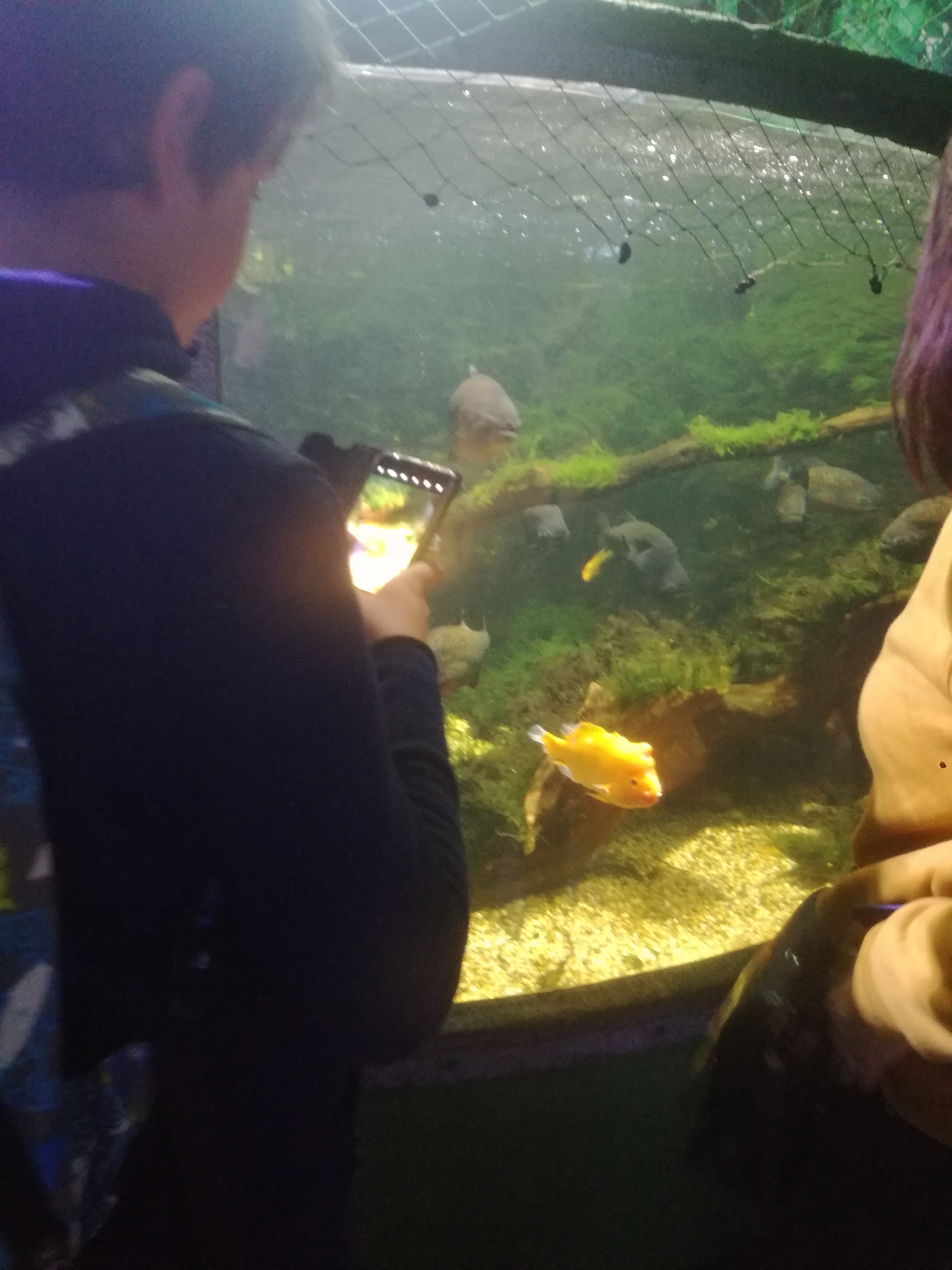 IMG 20220530 103057.jpg