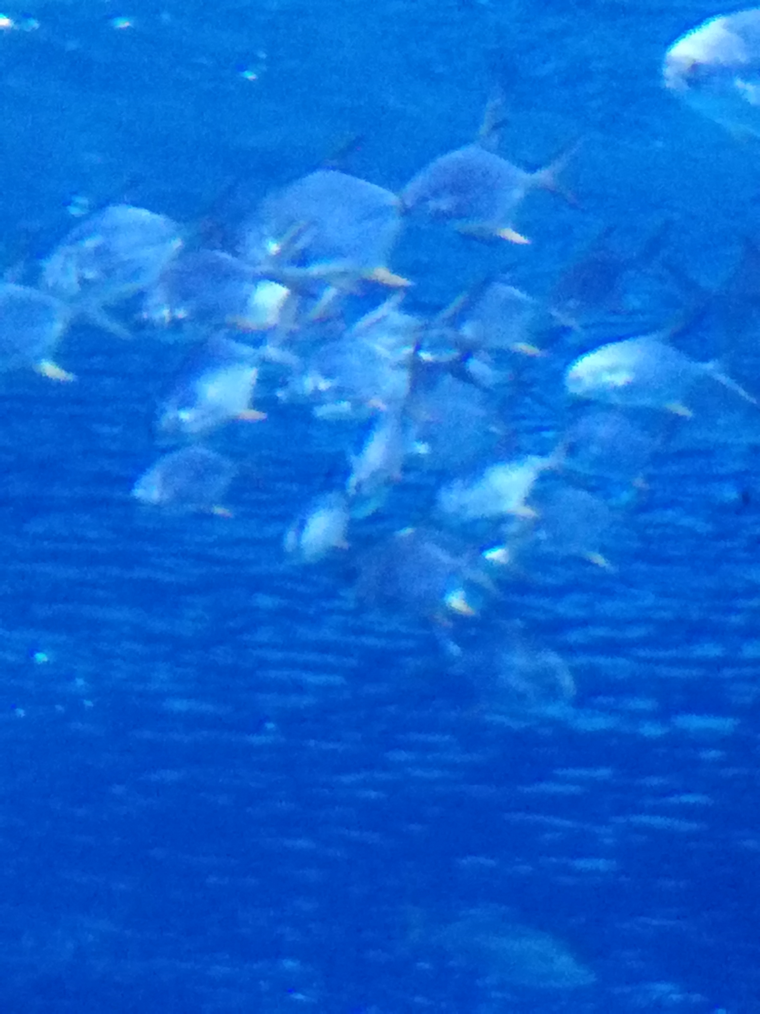 IMG 20220530 103057.jpg