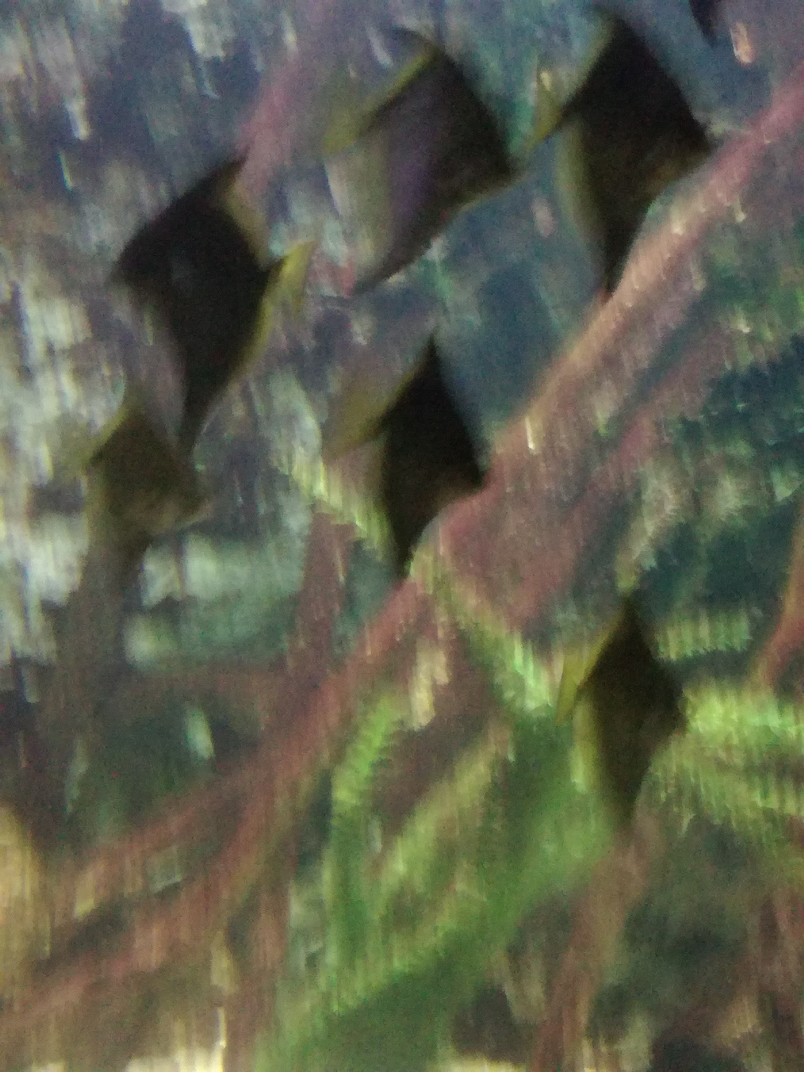 IMG 20220530 103057.jpg