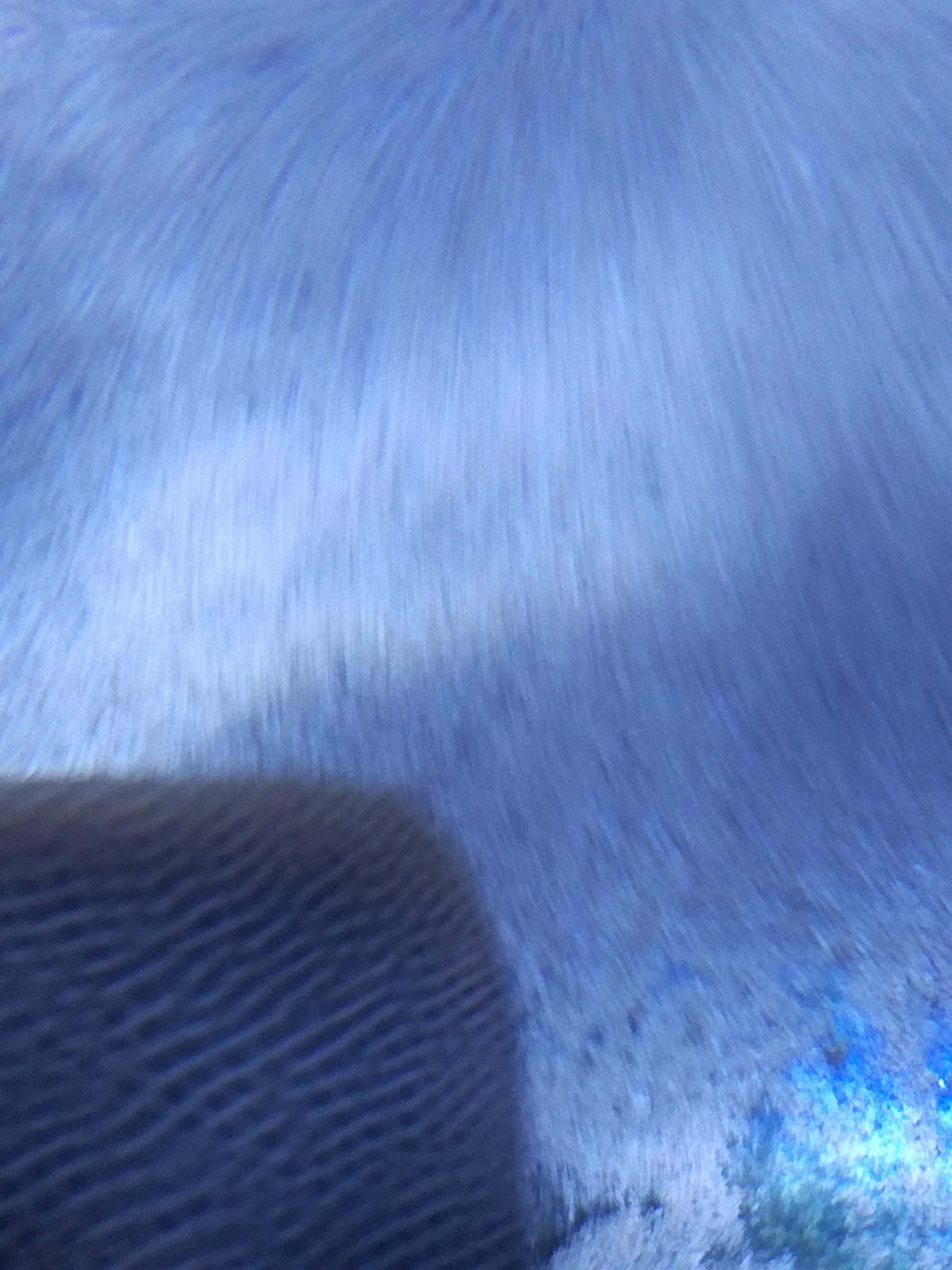 IMG 20220530 103057.jpg