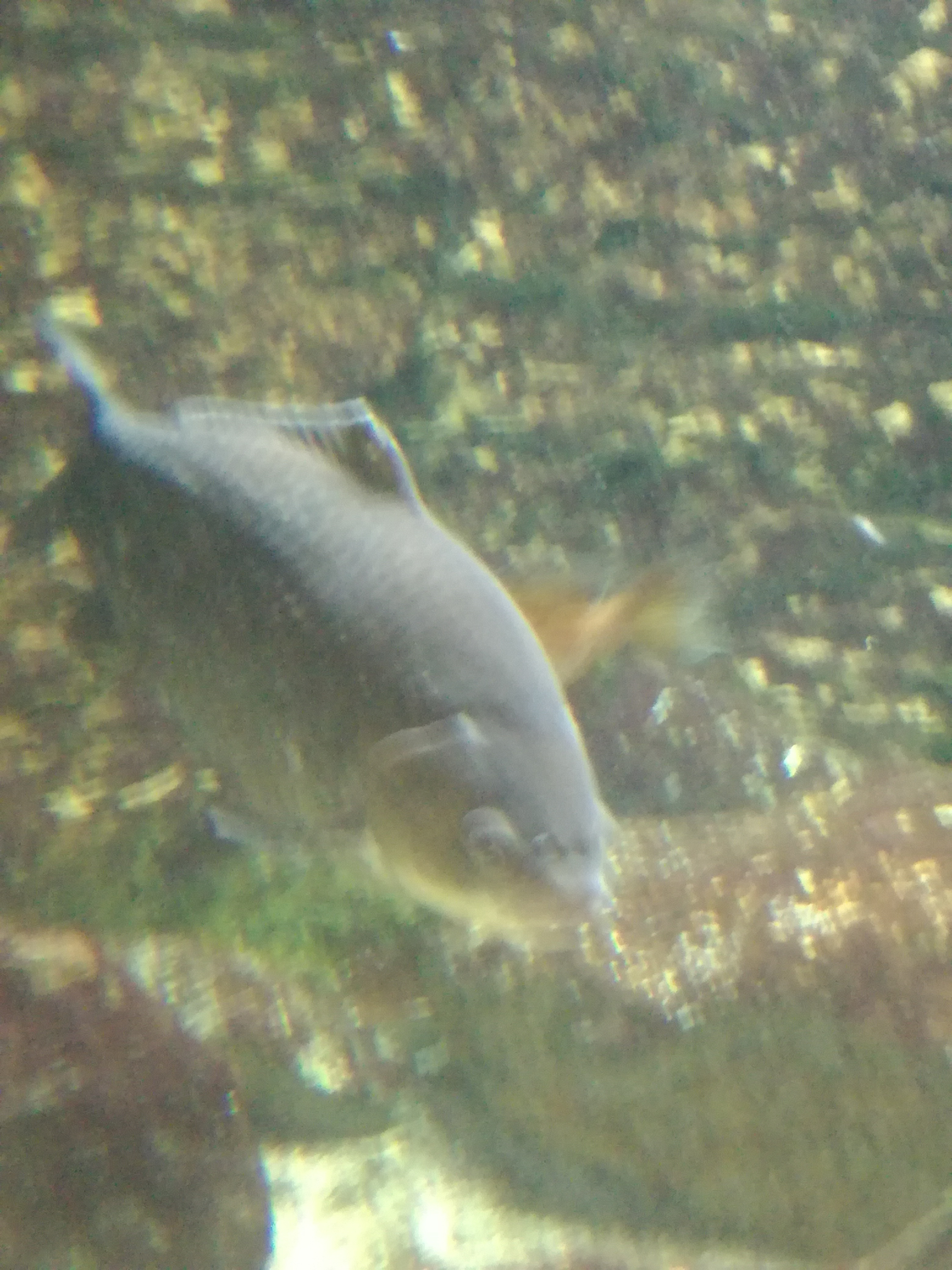 IMG 20220530 103057.jpg