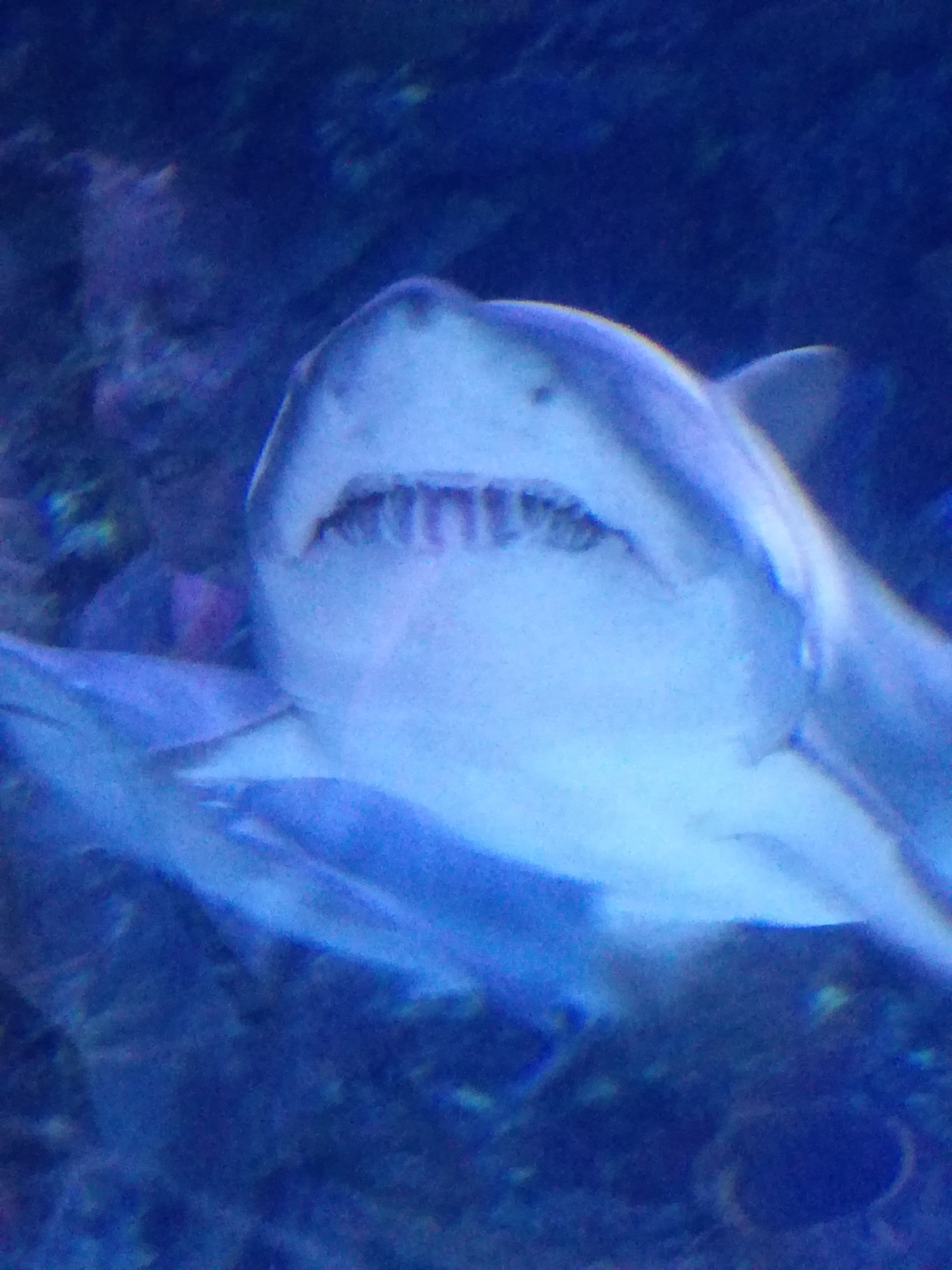 IMG 20220530 103057.jpg