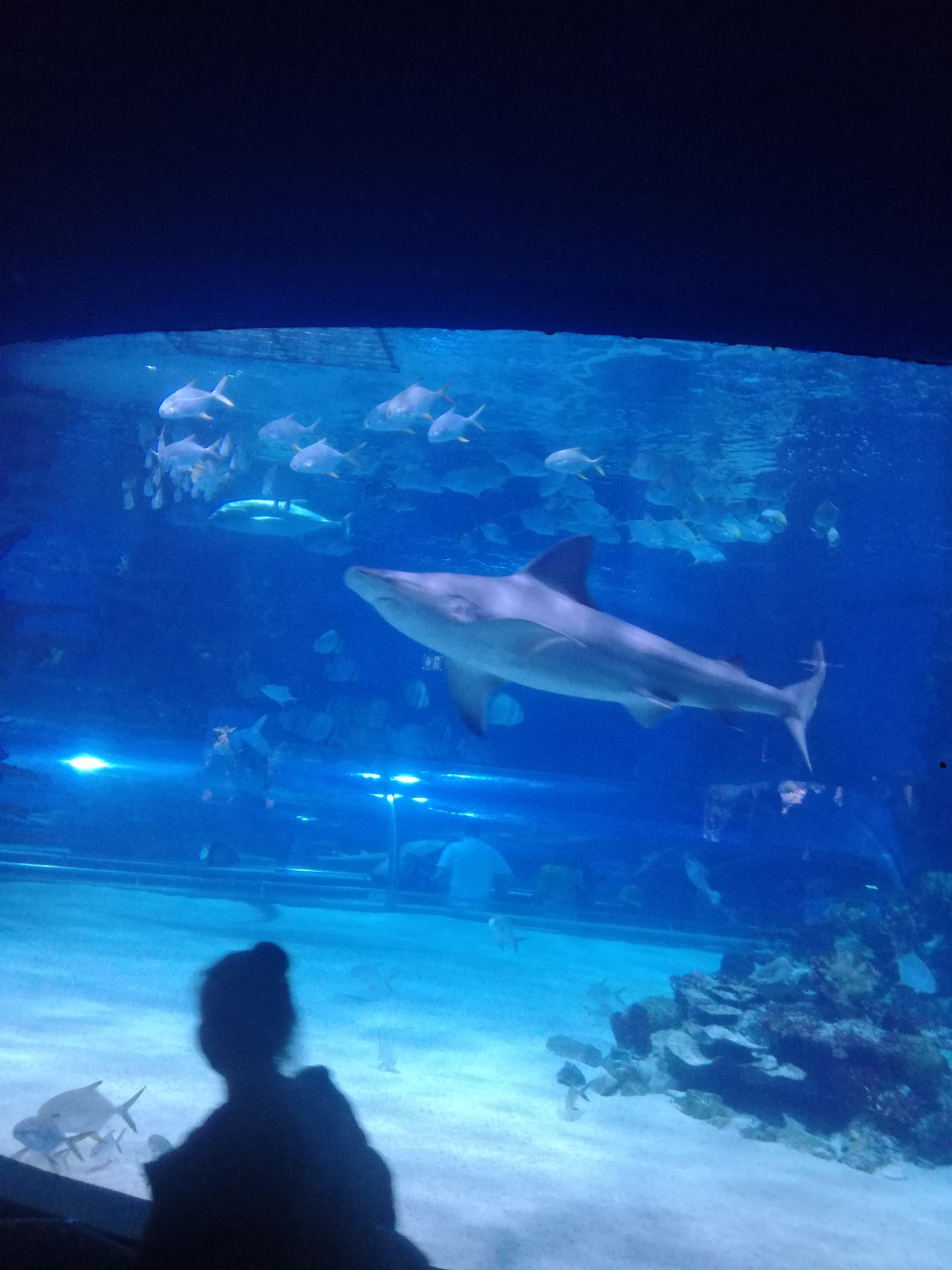 IMG 20220530 103057.jpg