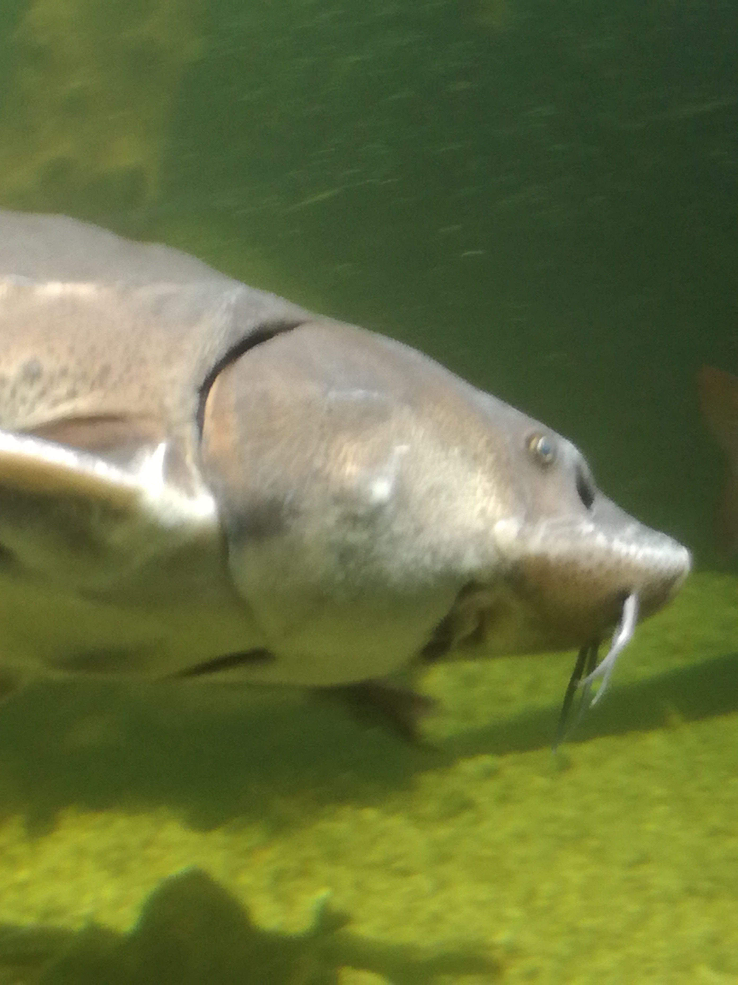 IMG 20220530 103057.jpg