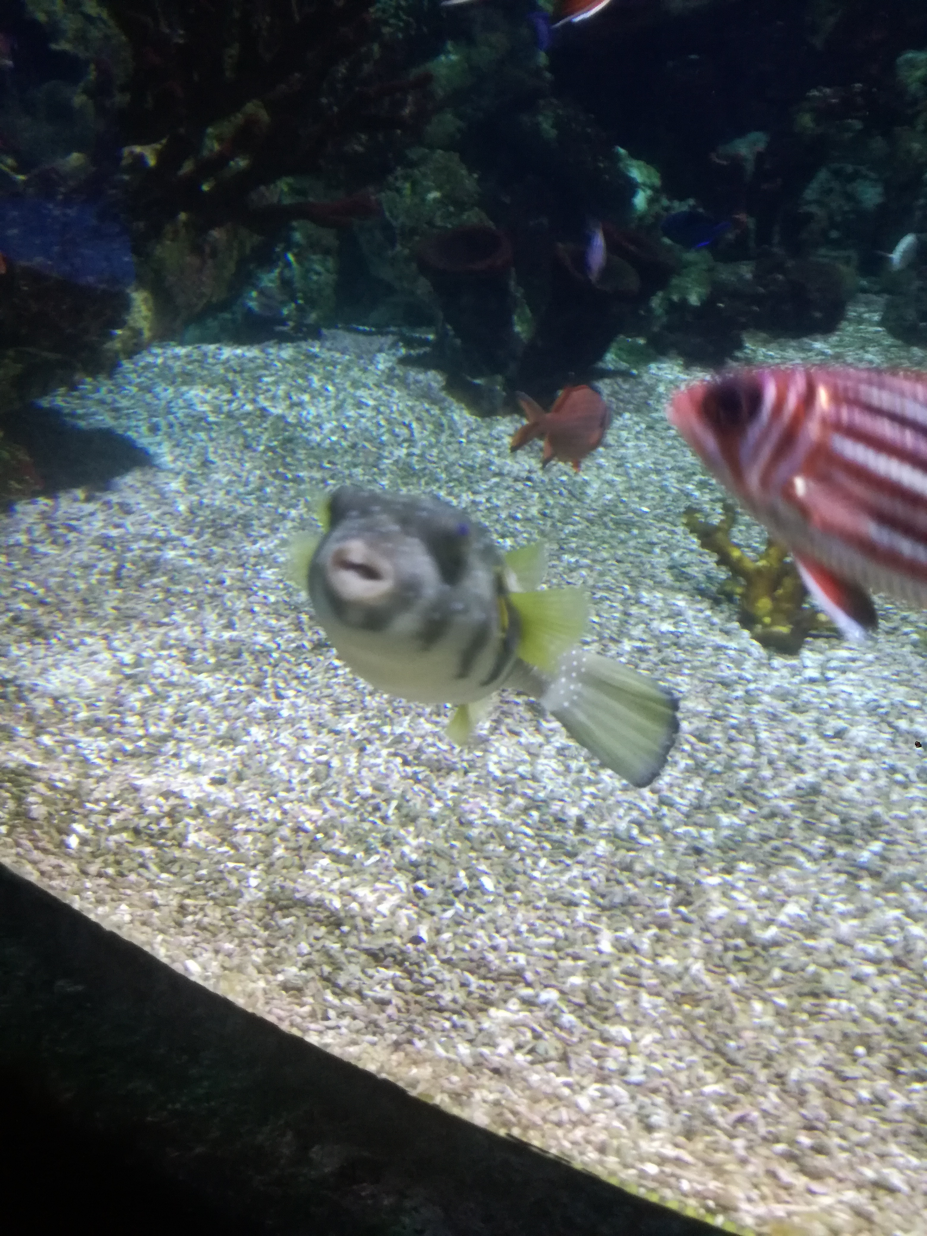 IMG 20220530 103057.jpg