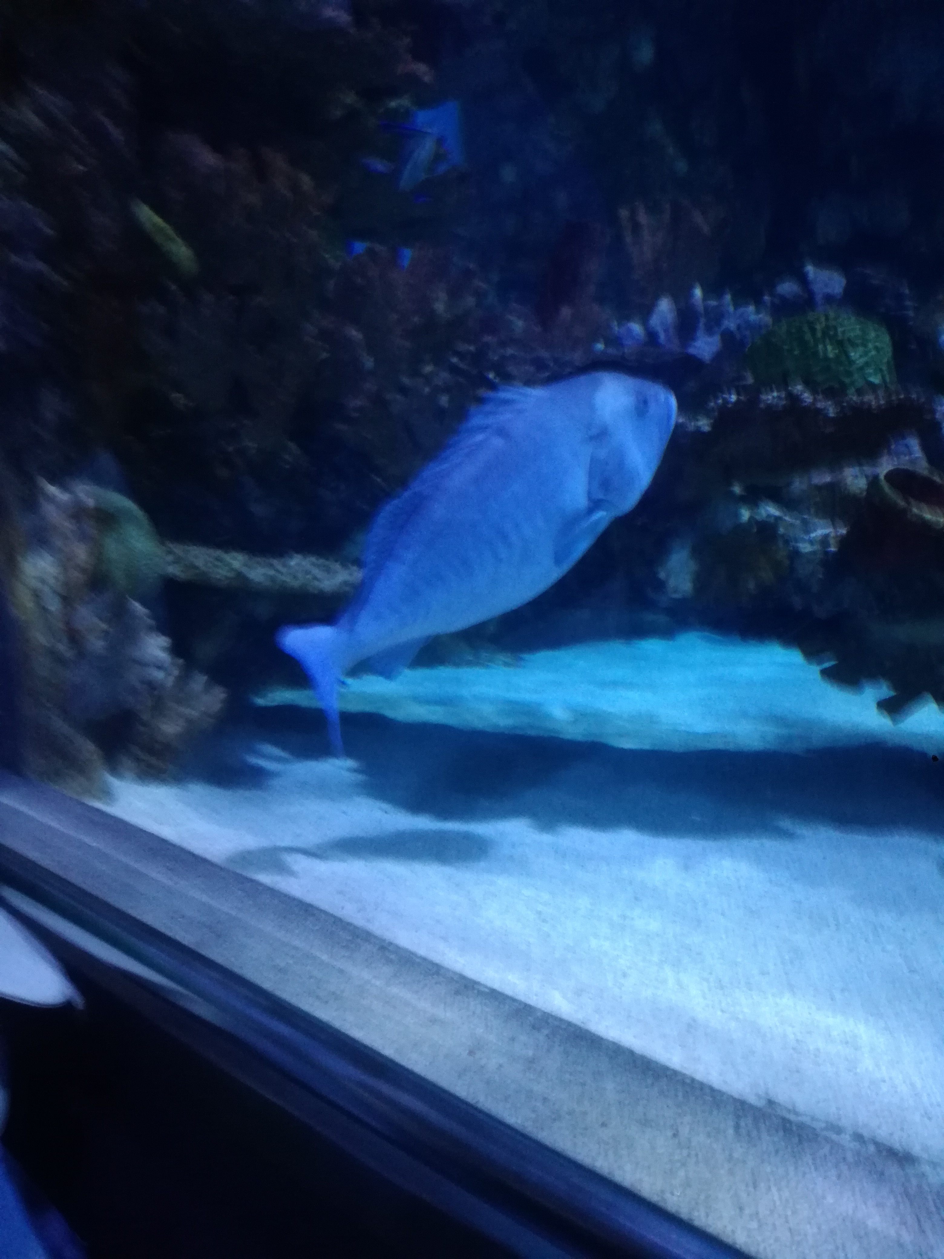 IMG 20220530 103057.jpg
