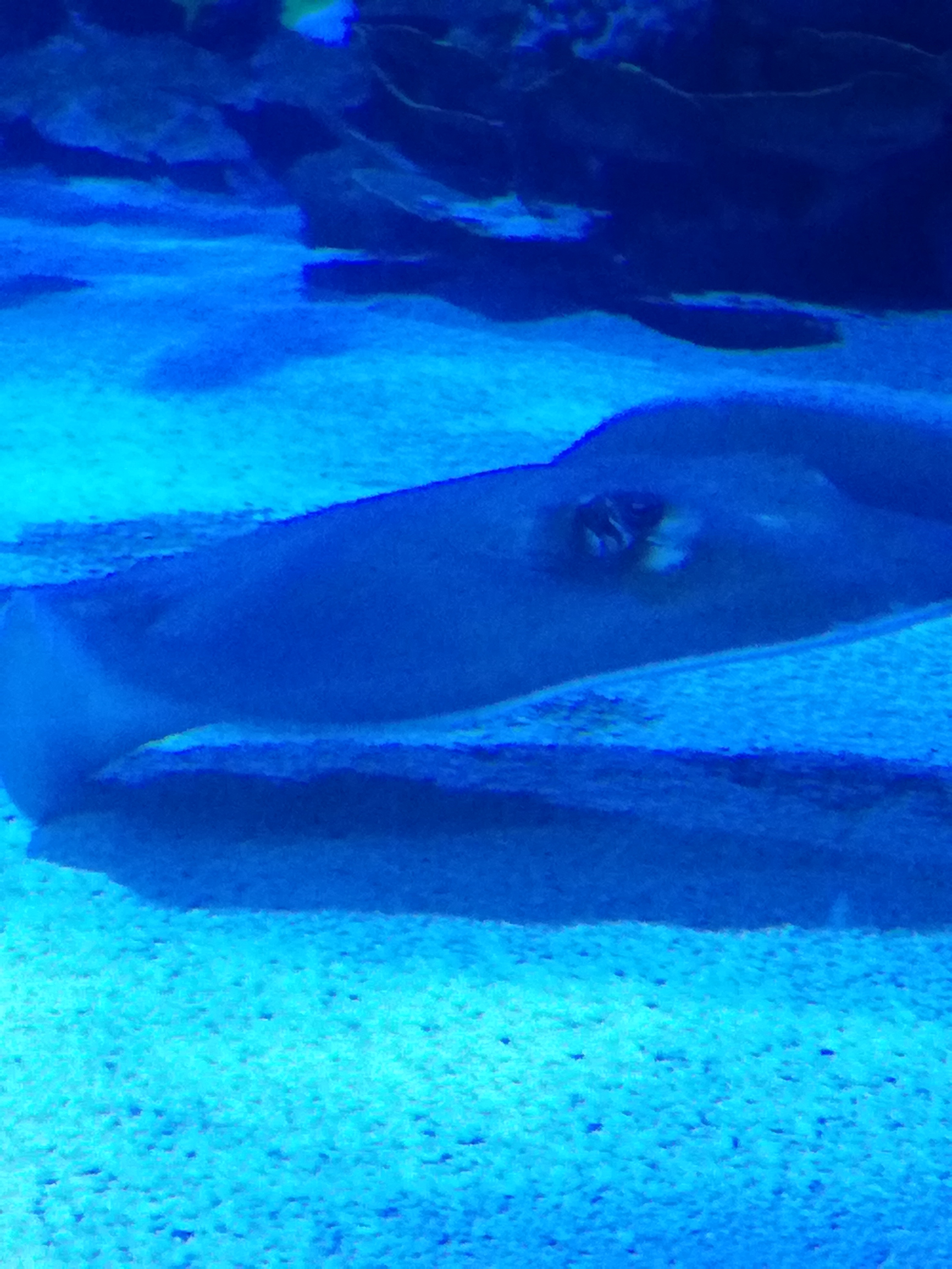 IMG 20220530 103057.jpg