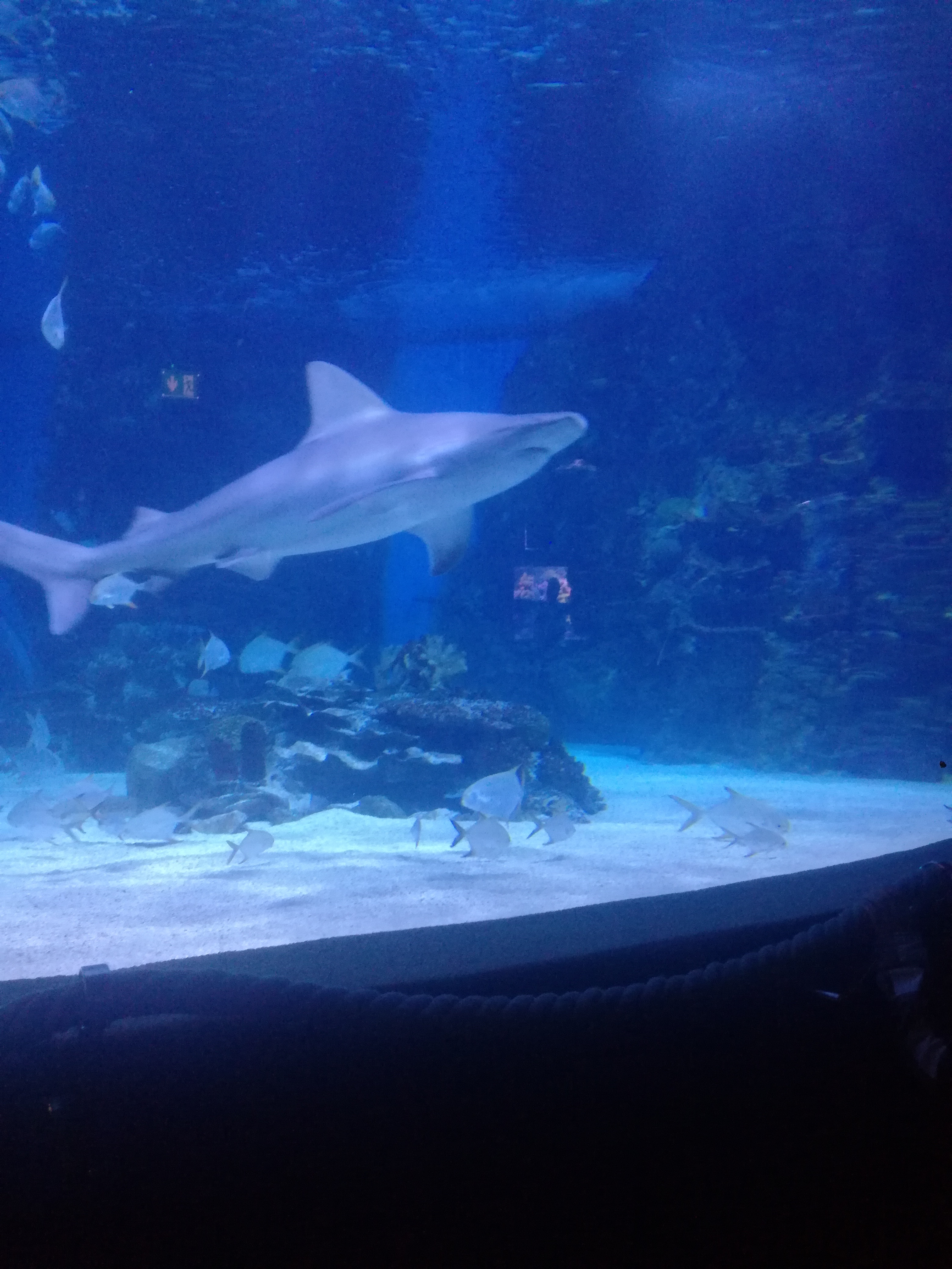 IMG 20220530 103057.jpg