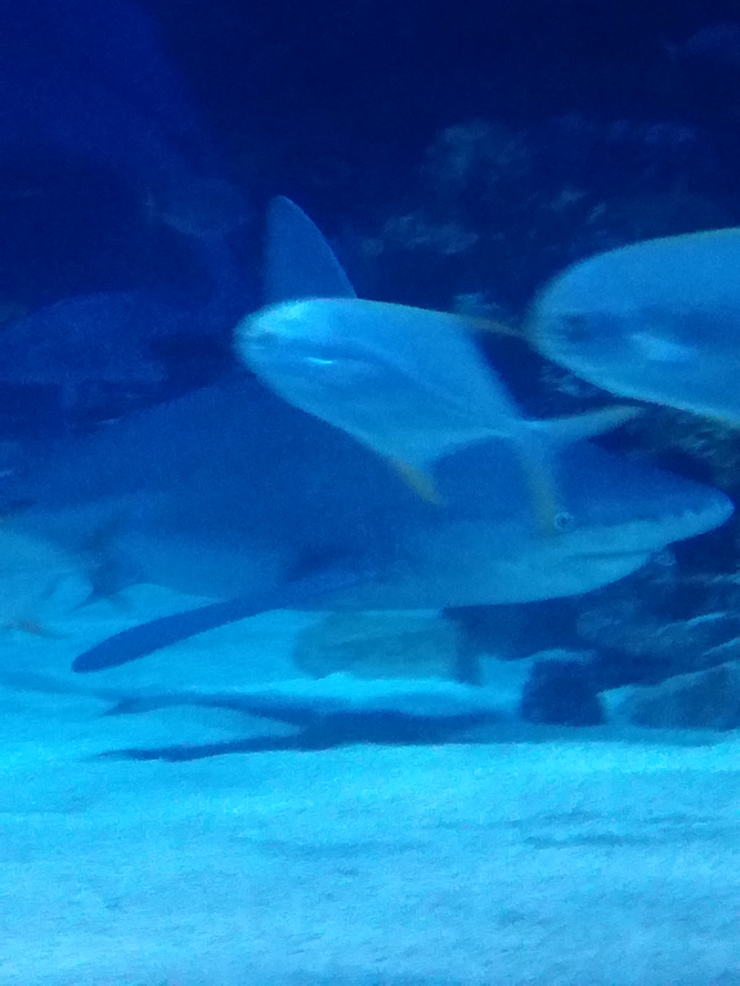 IMG 20220530 103057.jpg