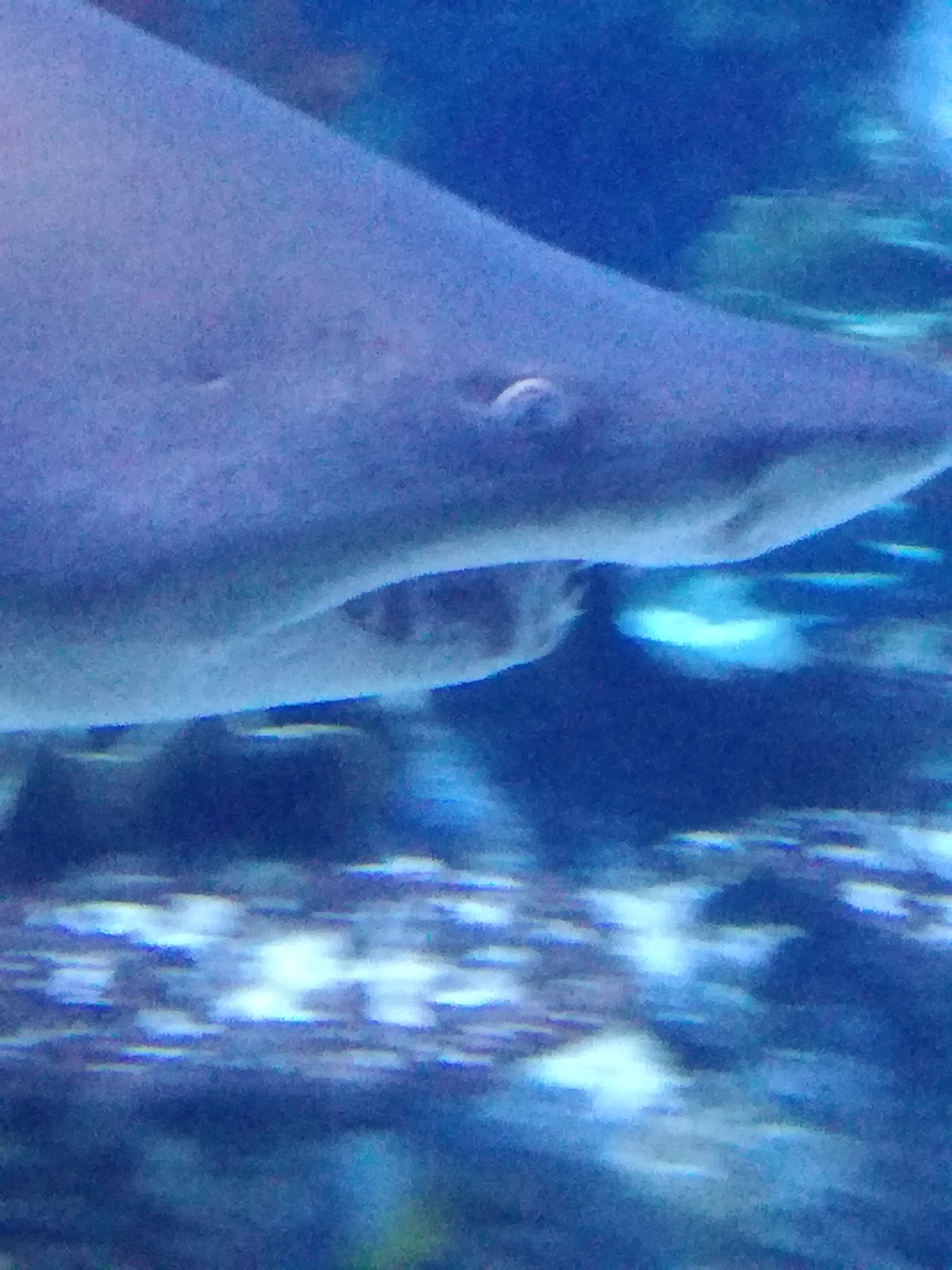IMG 20220530 103057.jpg
