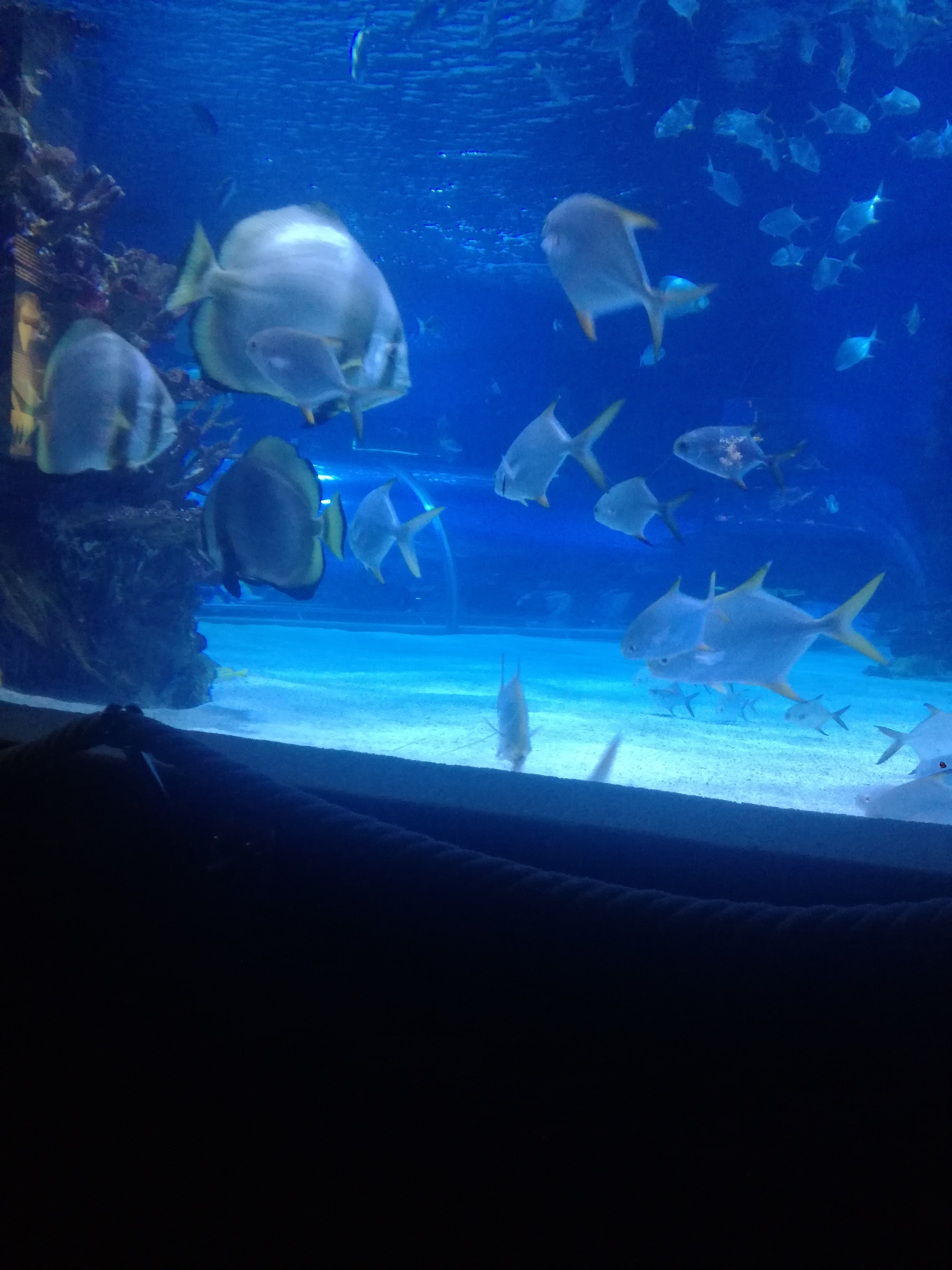 IMG 20220530 103057.jpg