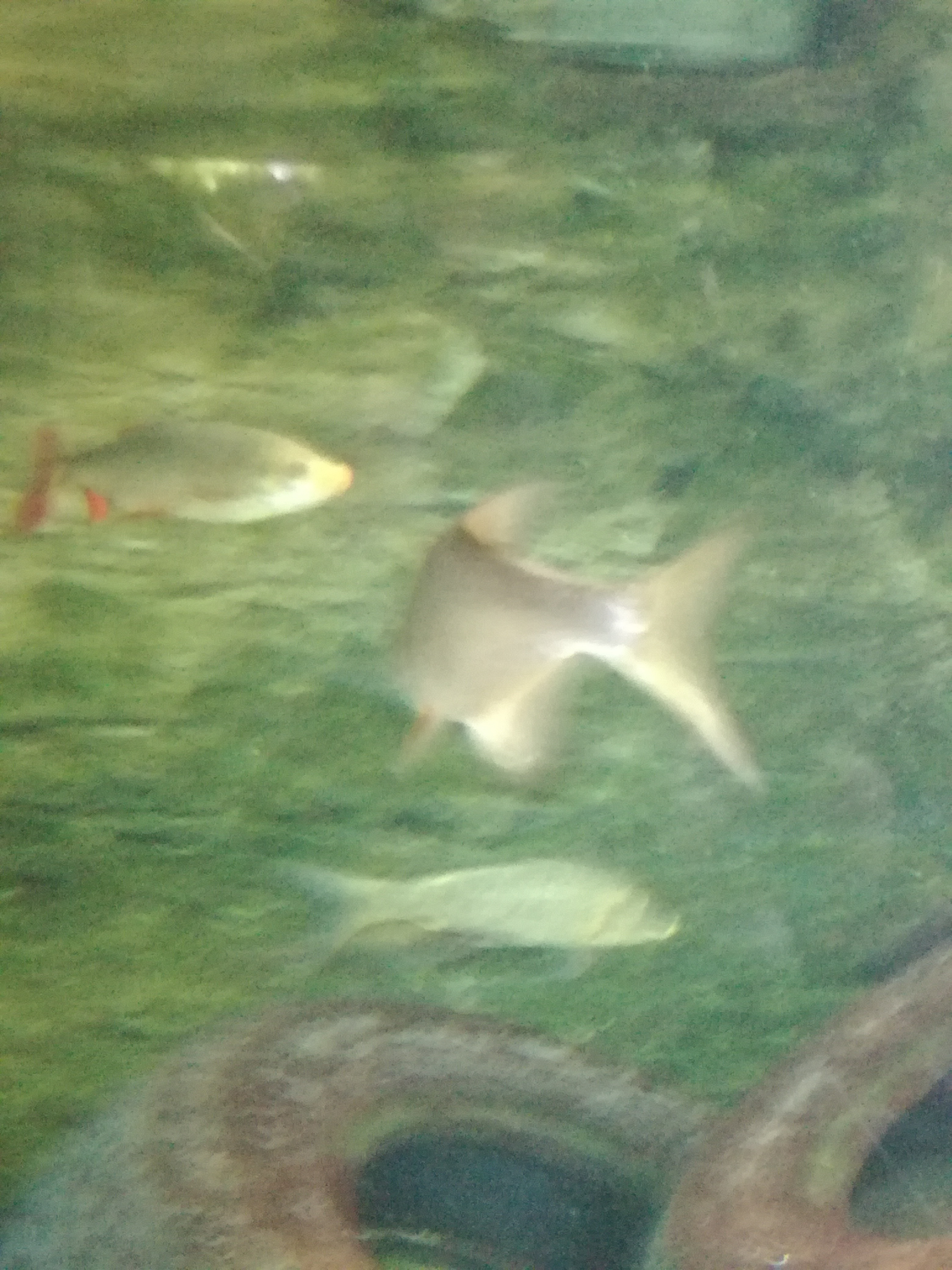 IMG 20220530 103057.jpg