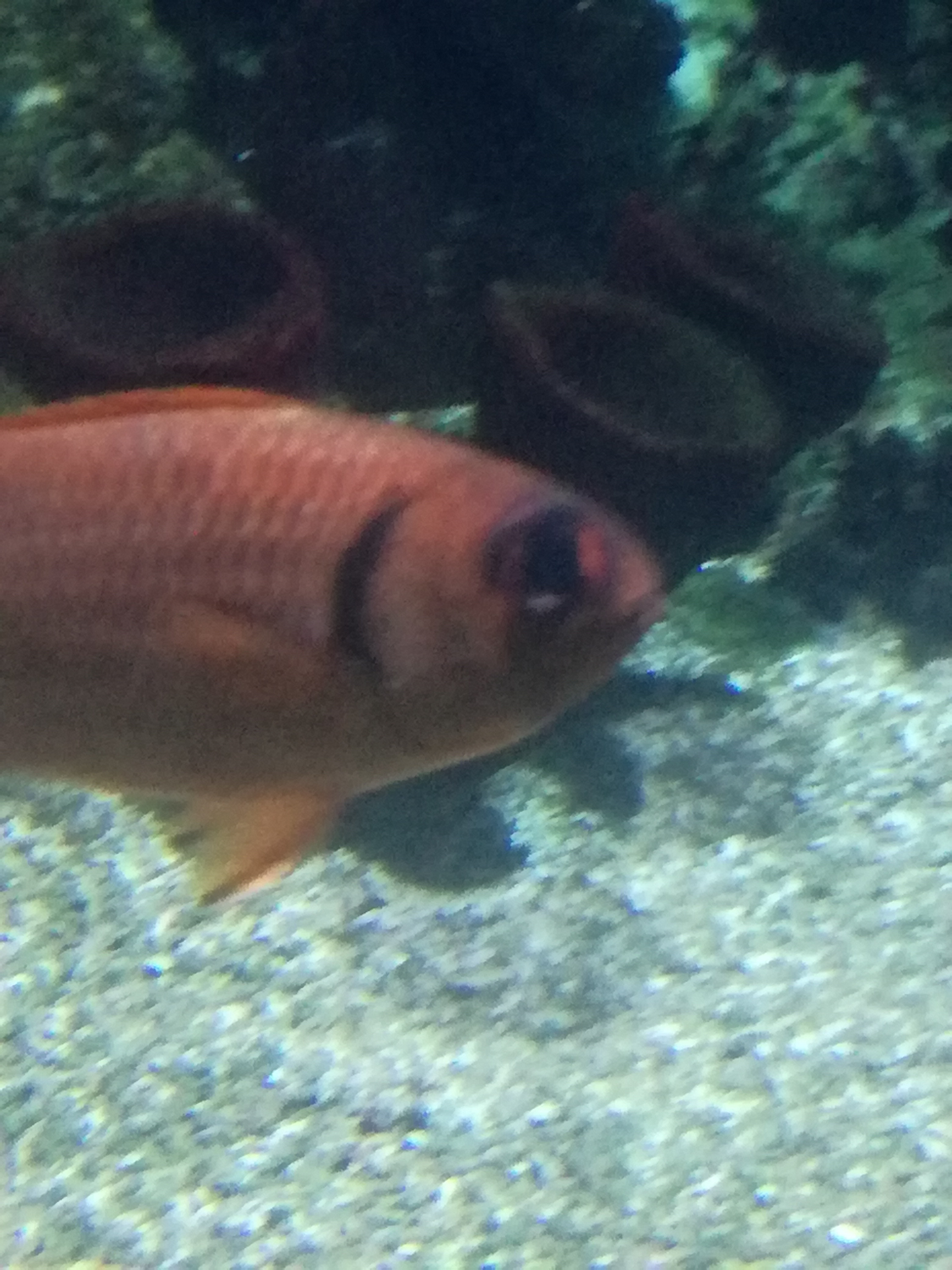 IMG 20220530 103057.jpg