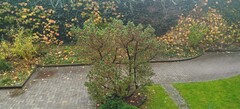 Regnerischer Tag