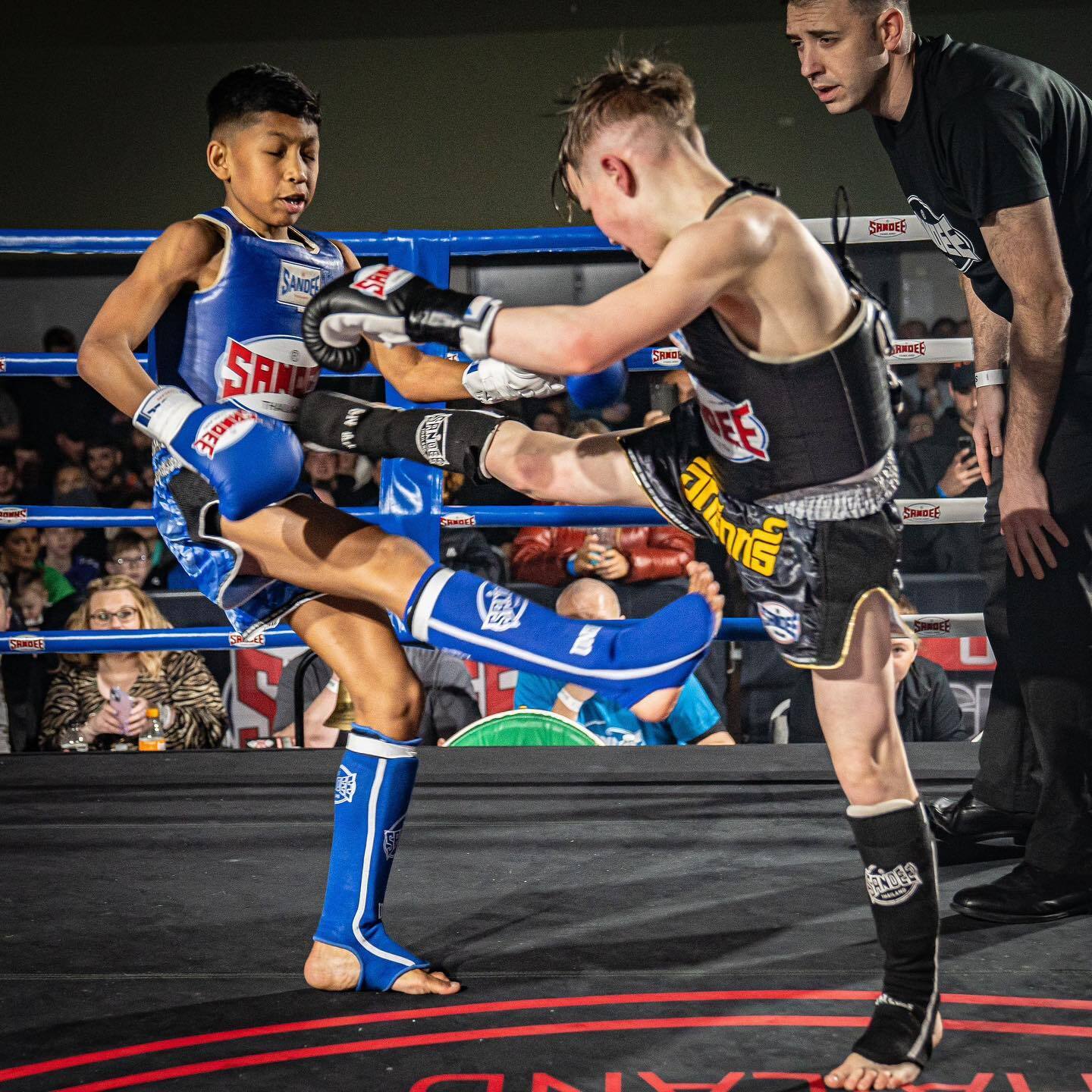 Ceejaytheminibeast 🥊