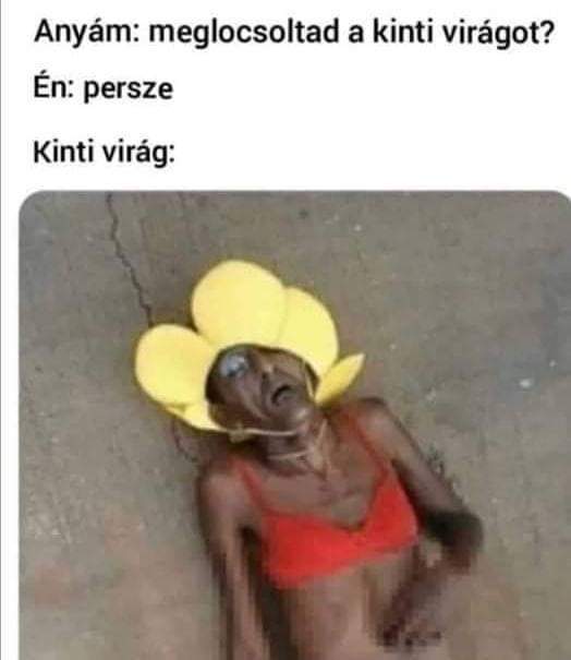 Tuja