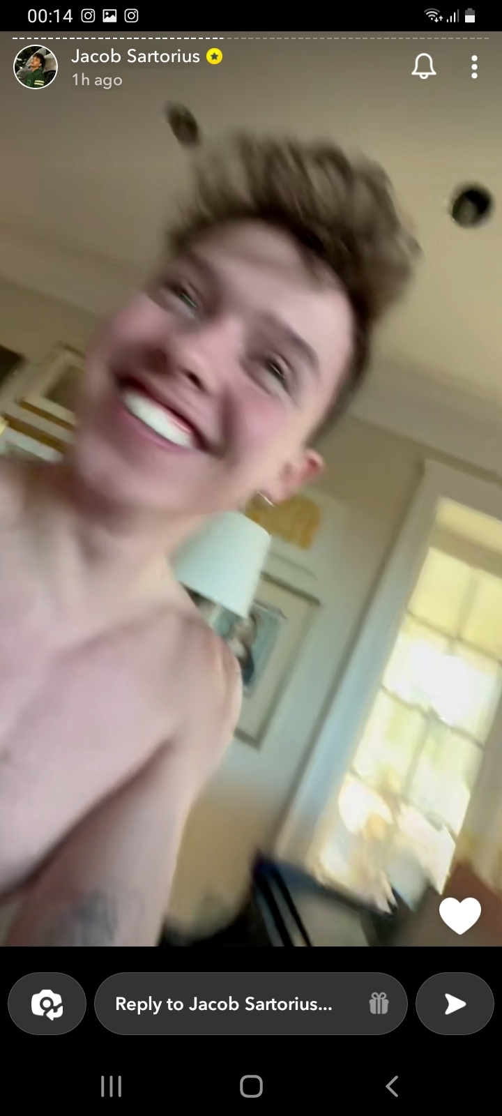 Jacob Sartorius