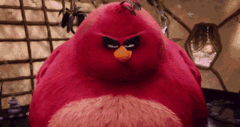 IM DA BIGGEST BIRD