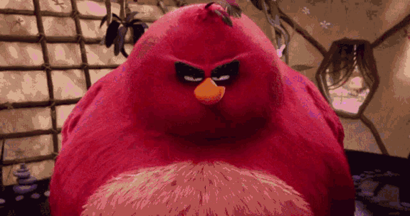 IM DA BIGGEST BIRD