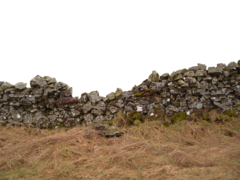 pngegg.png