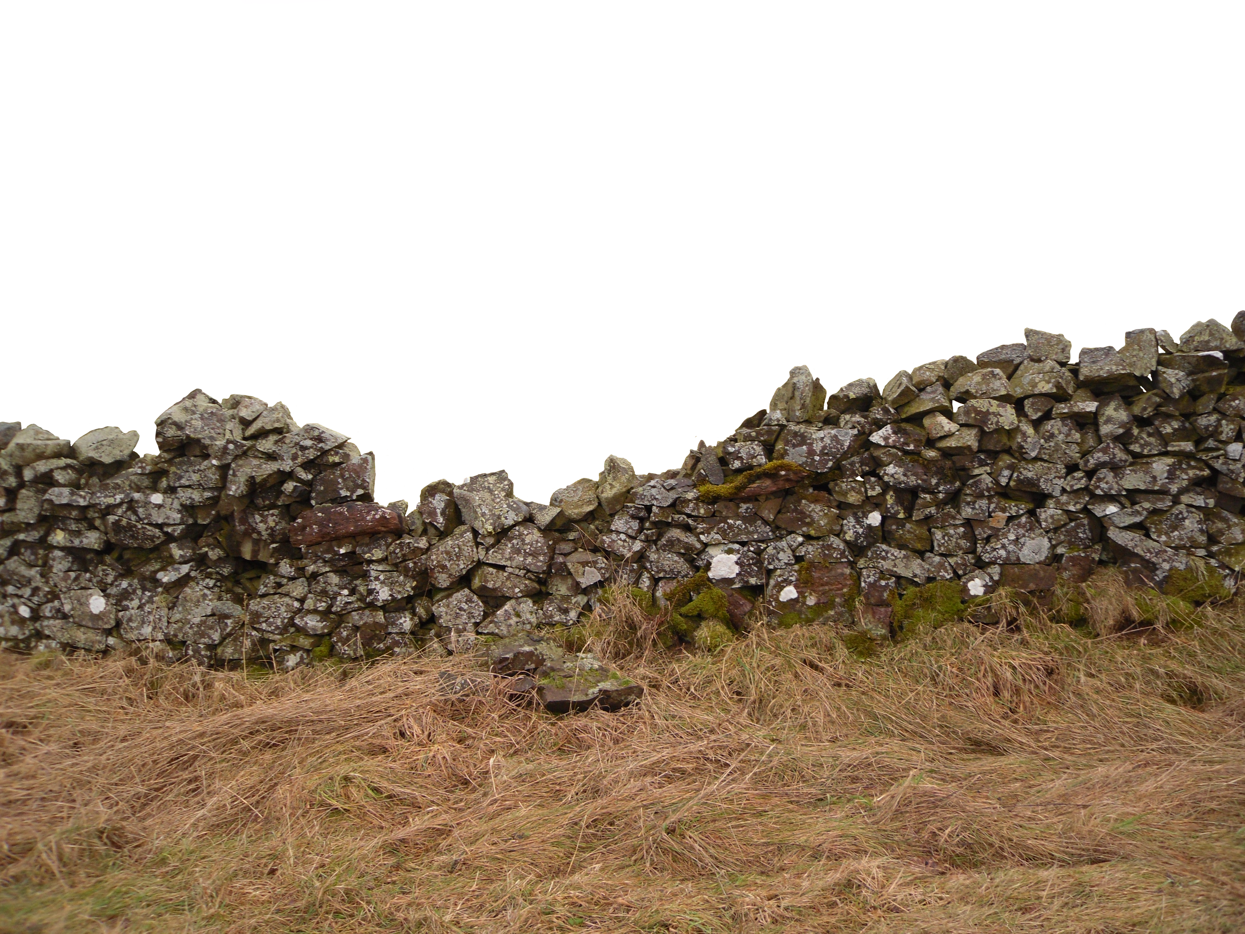pngegg.png