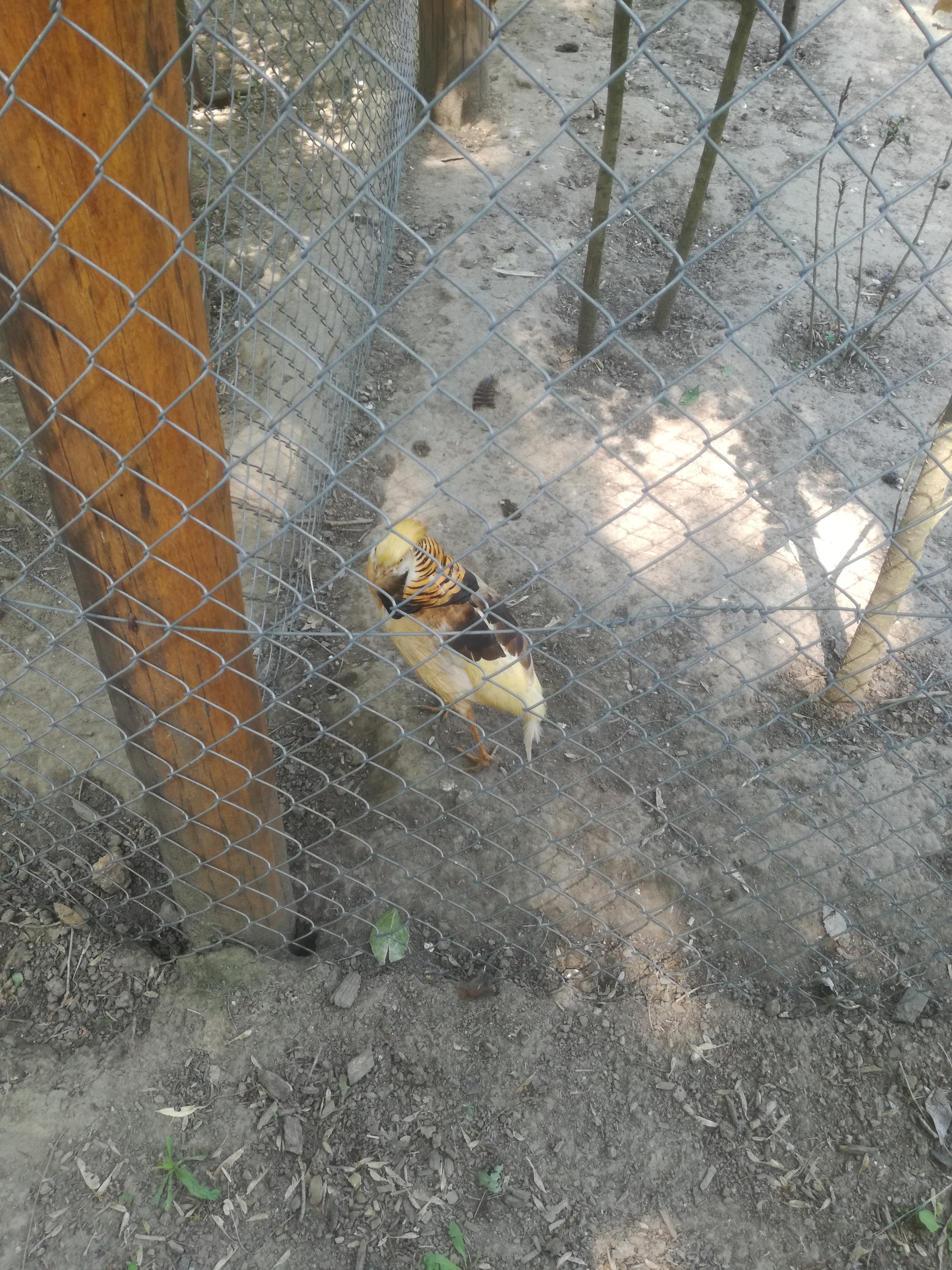 IMG 20210610 102220.jpg