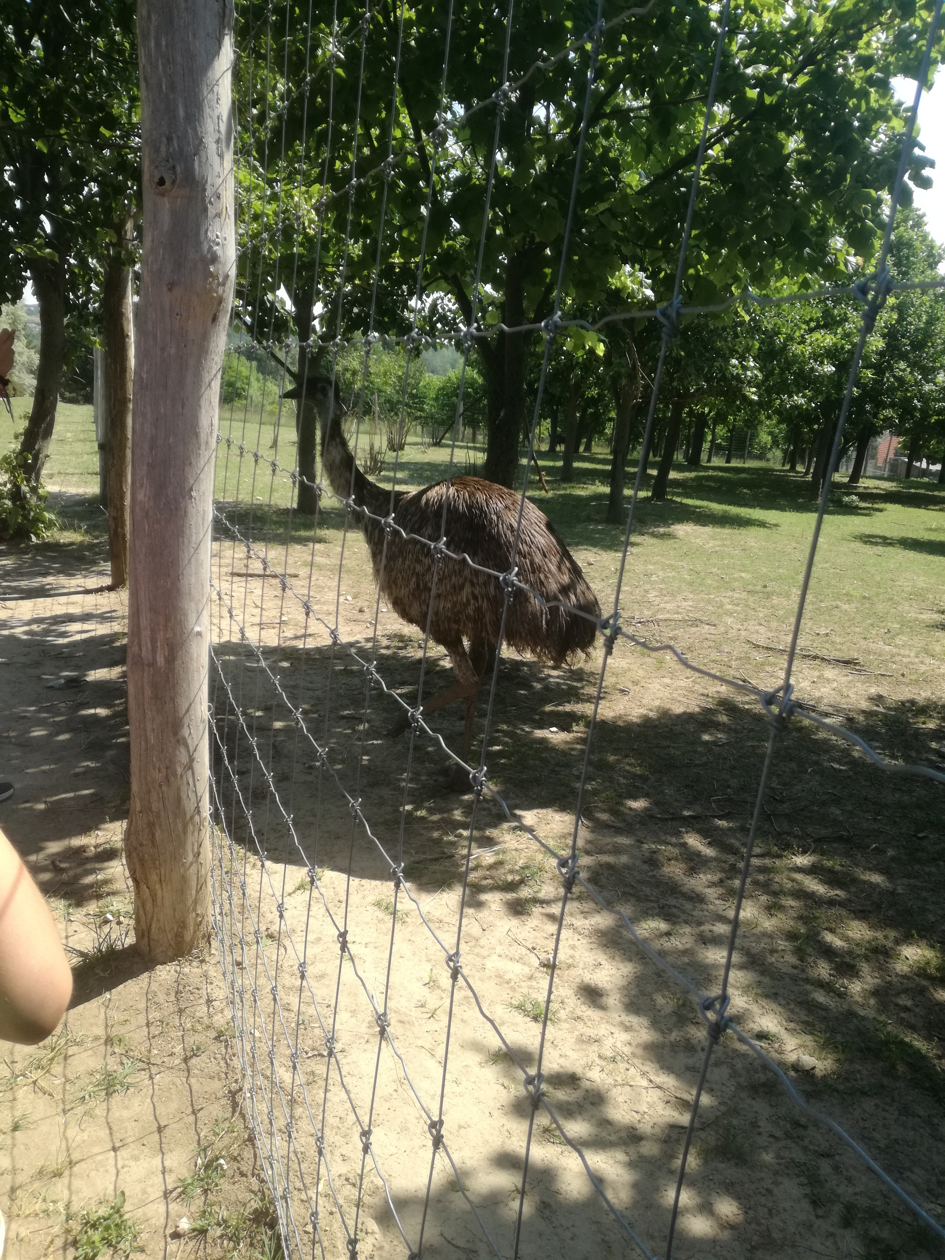 IMG 20210610 102220.jpg