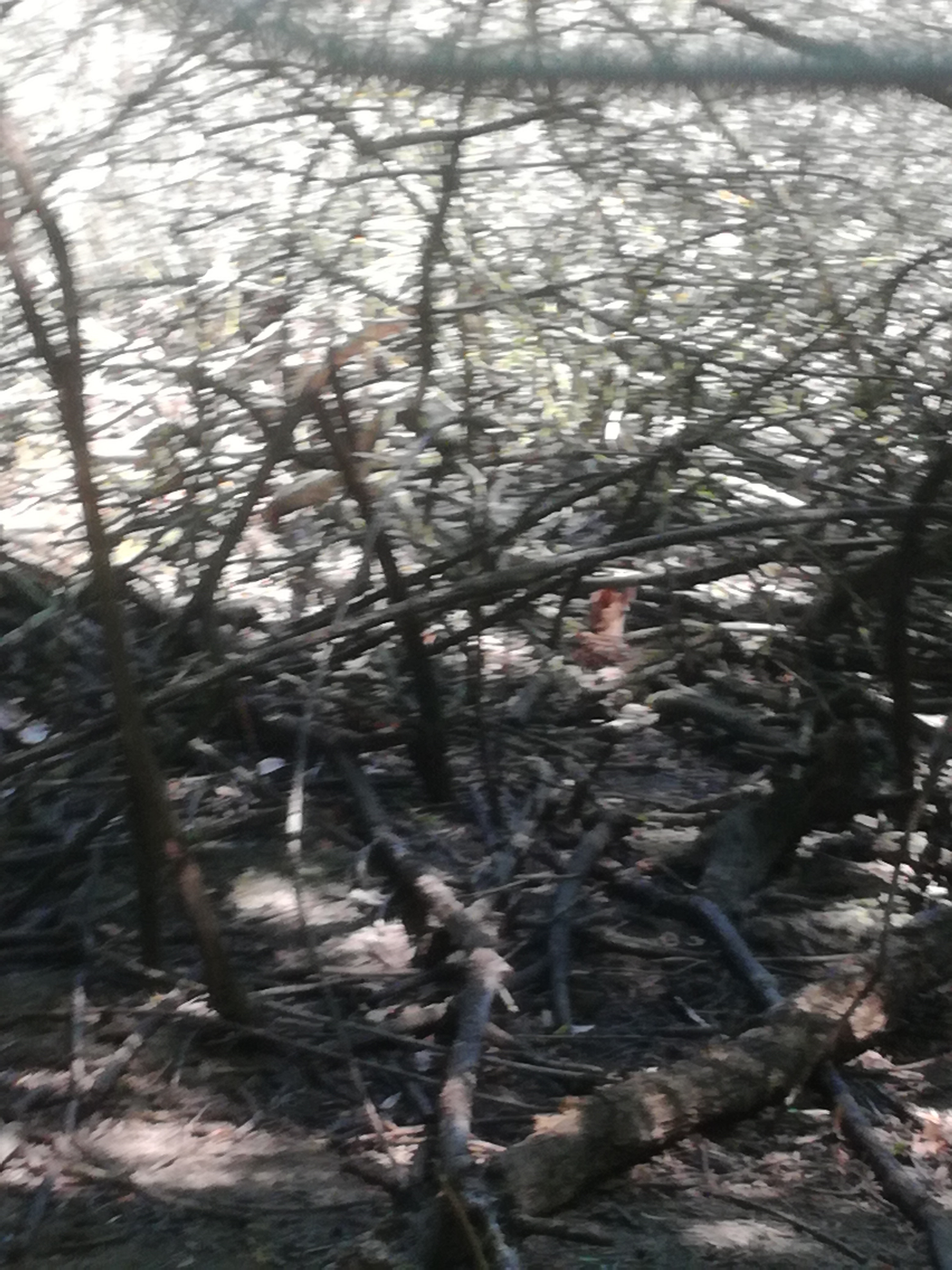 IMG 20210610 102220.jpg