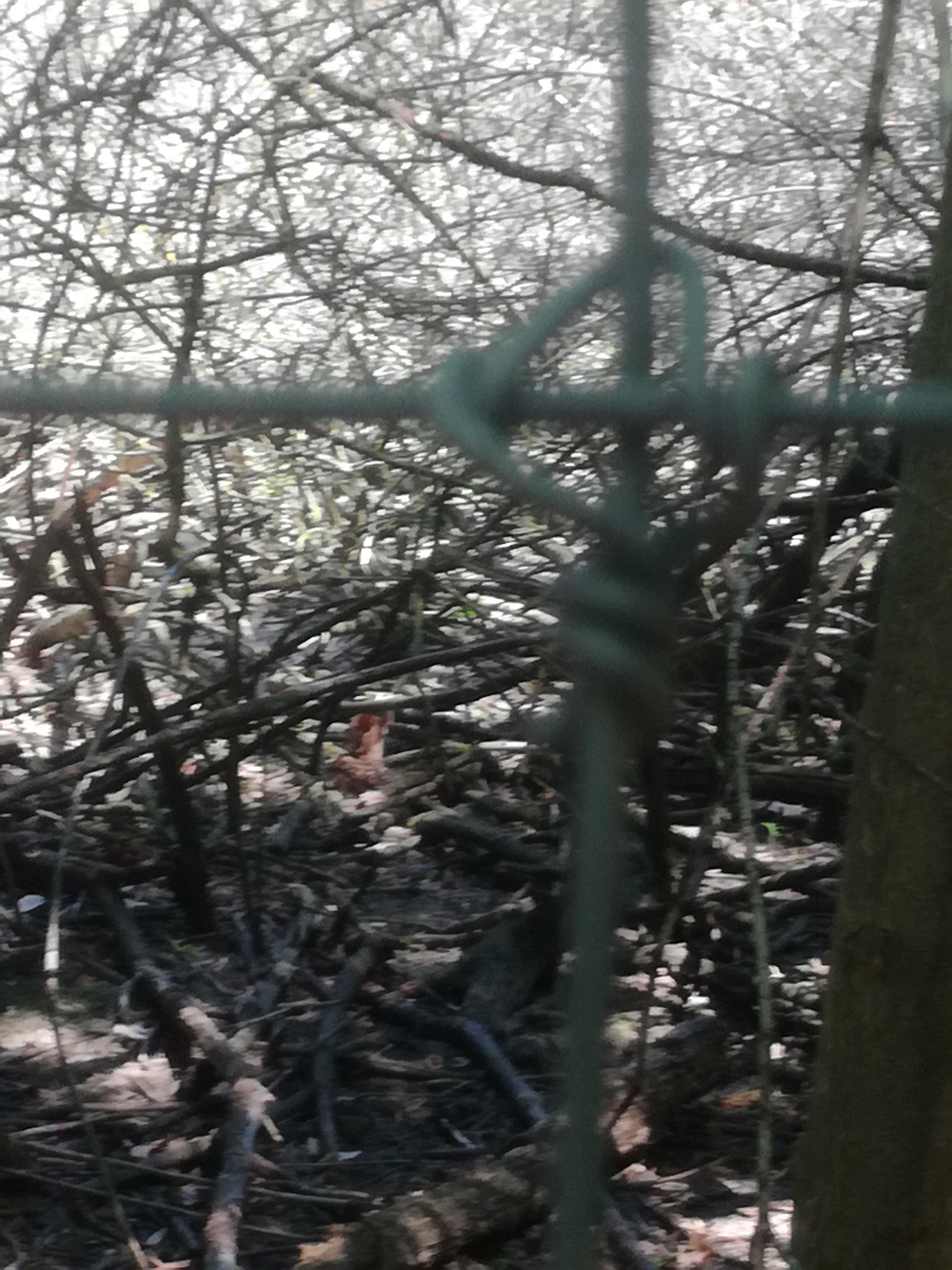 IMG 20210610 102220.jpg