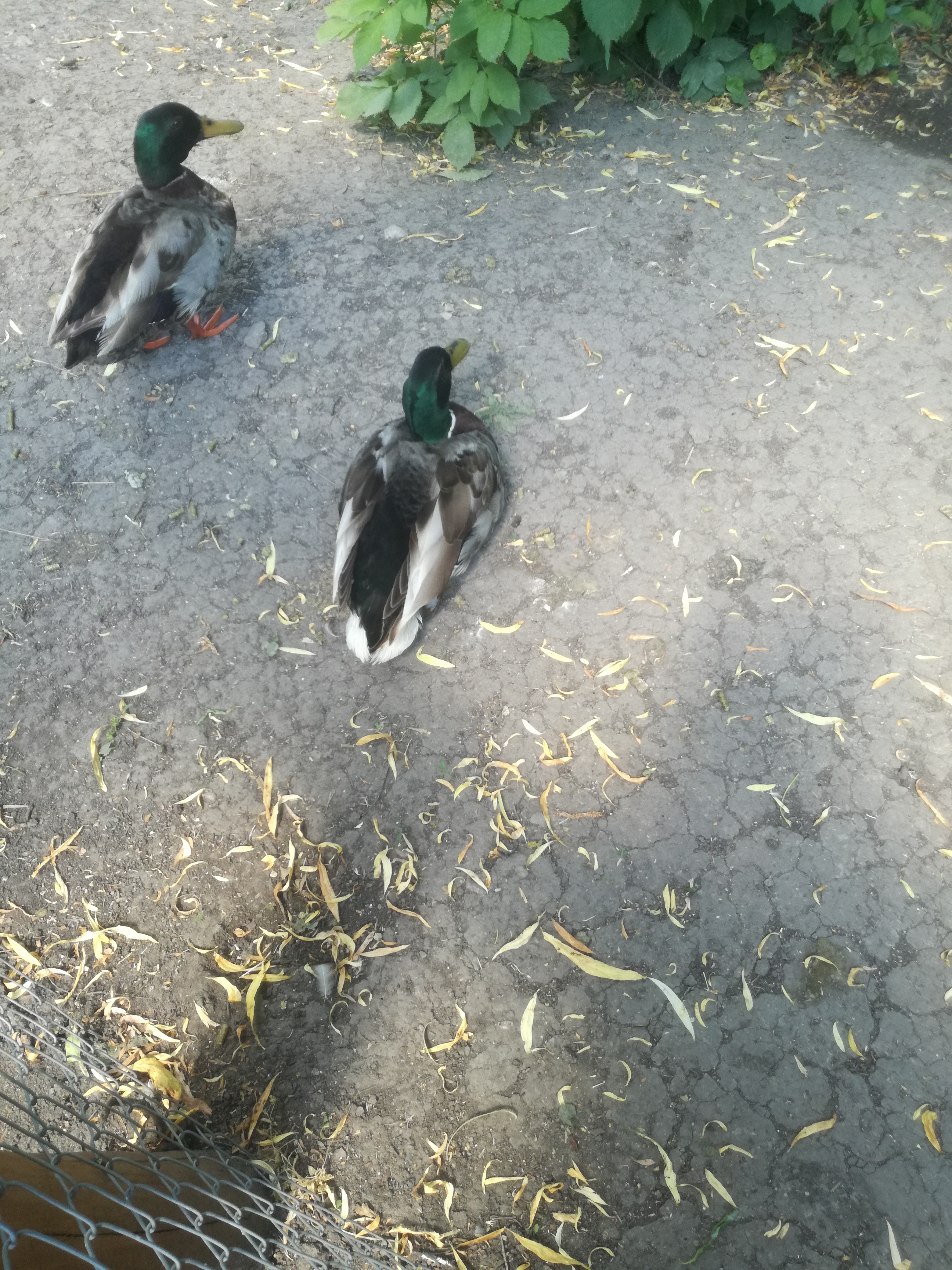 IMG 20210610 102220.jpg